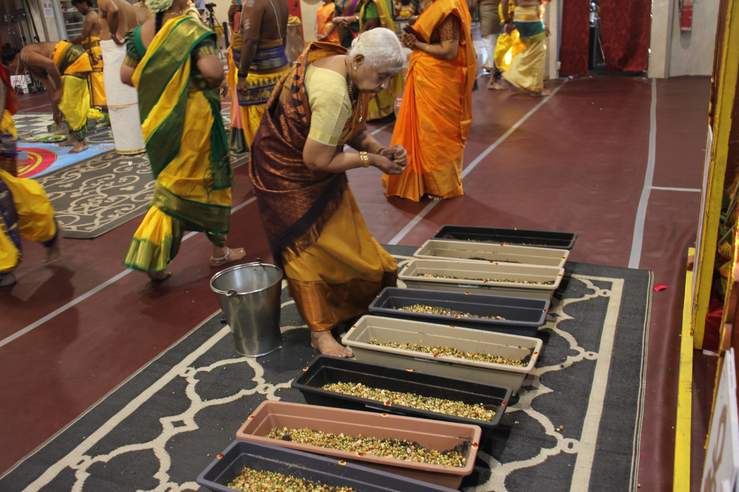 Festival 2026 photo