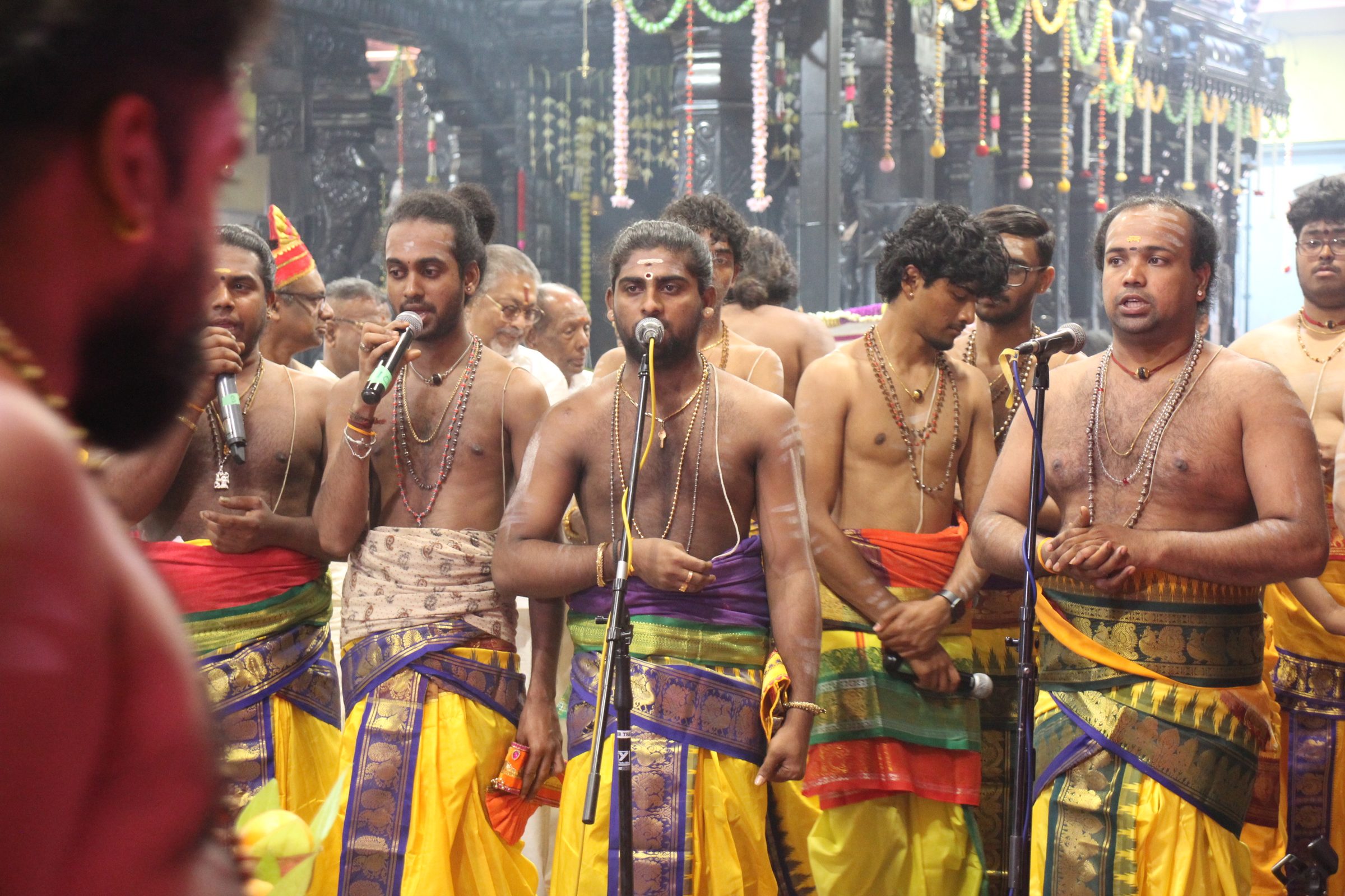 Festival 2026 photo