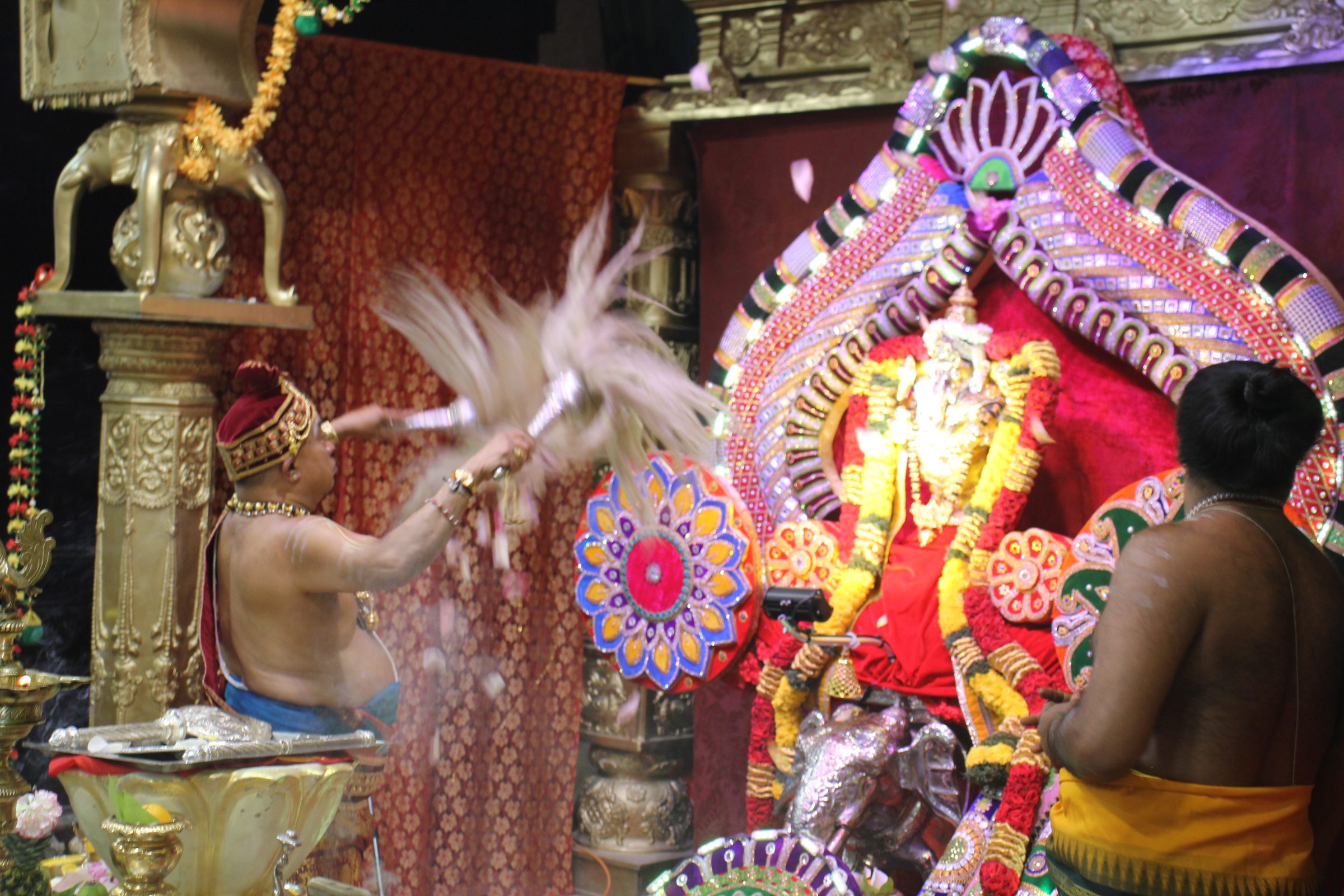 Festival 2026 photo