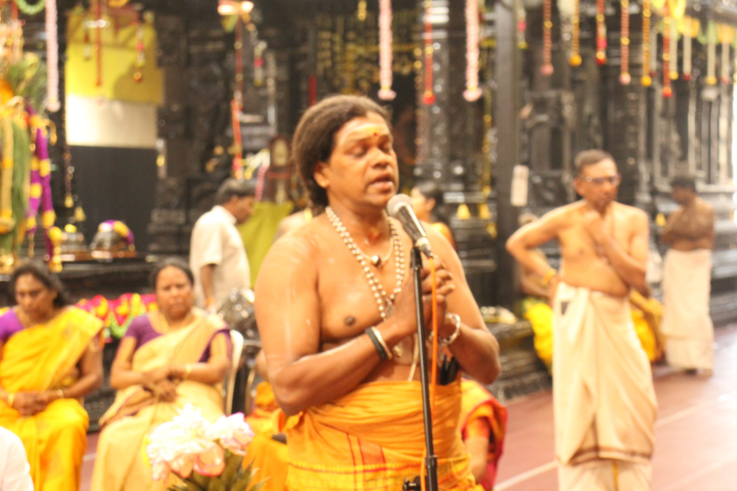 Festival 2026 photo
