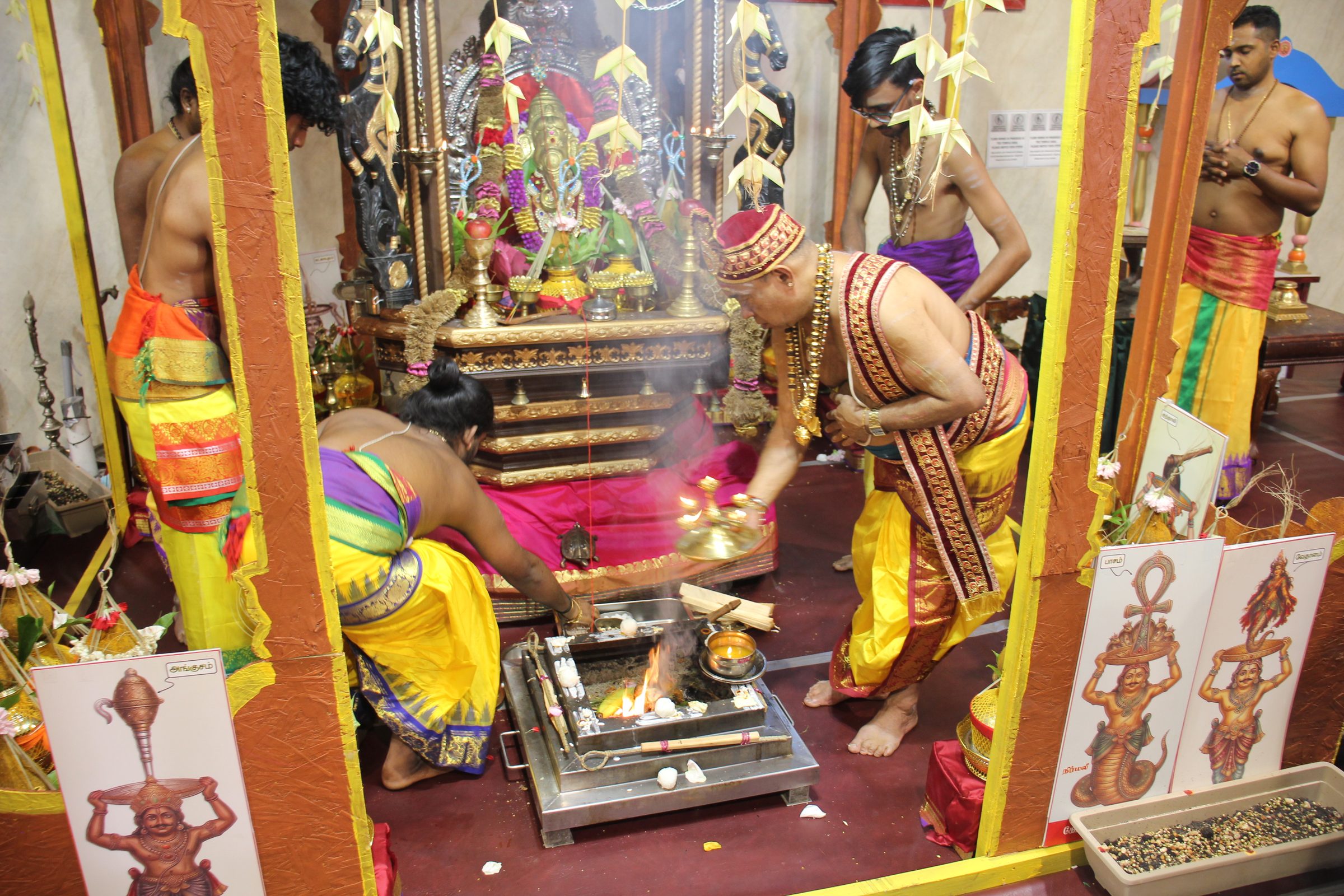 Festival 2026 photo