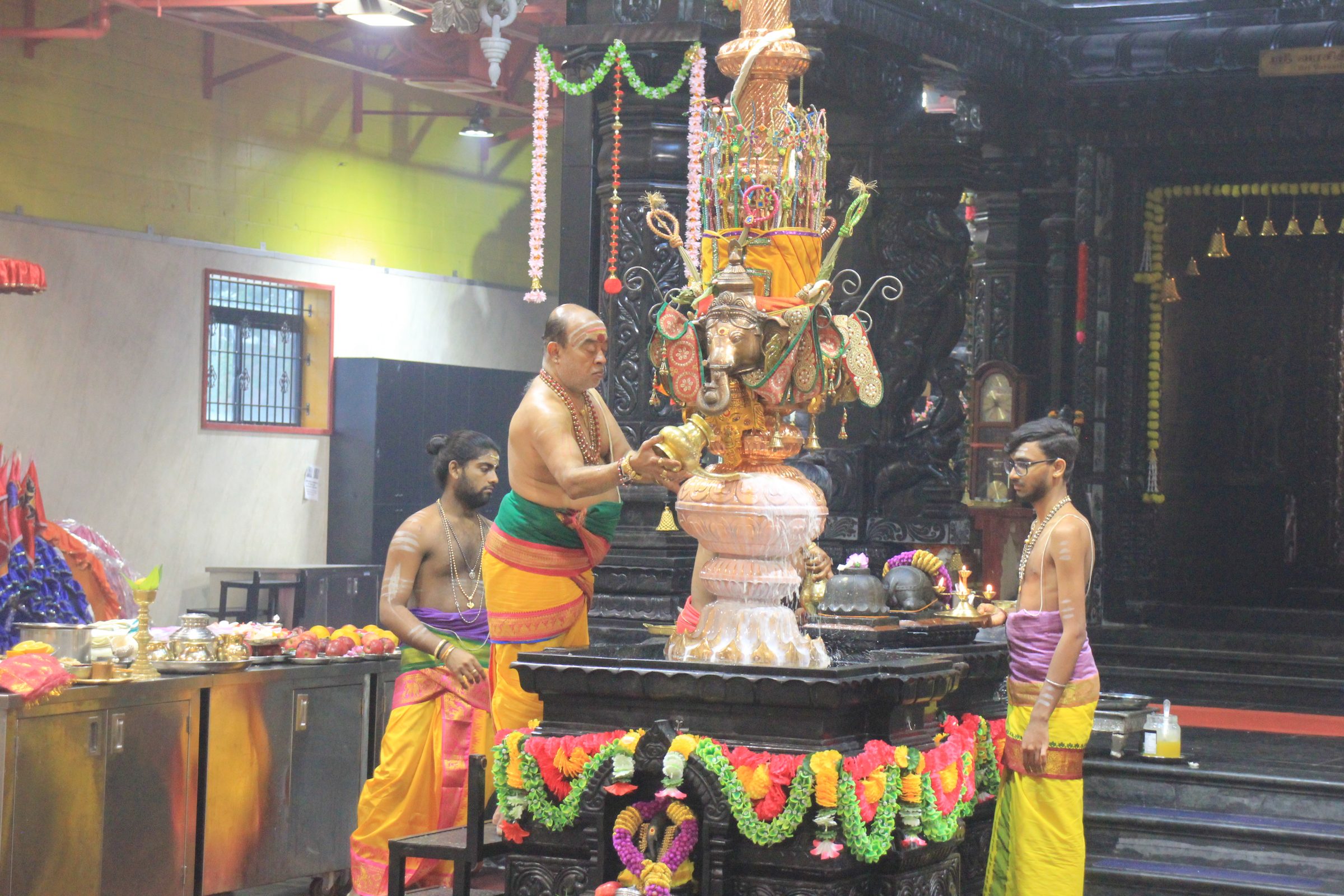 Festival 2026 photo