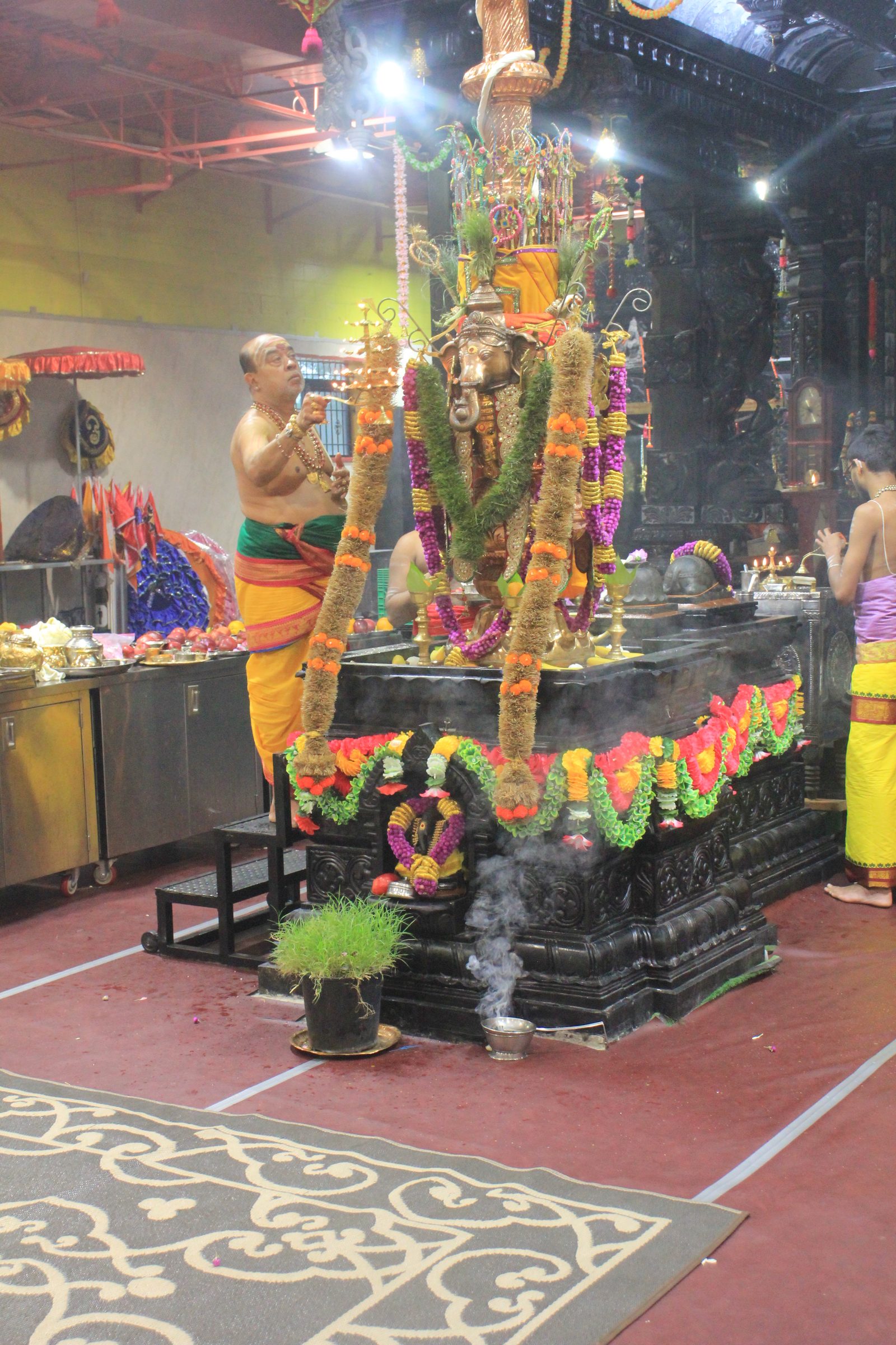 Festival 2026 photo