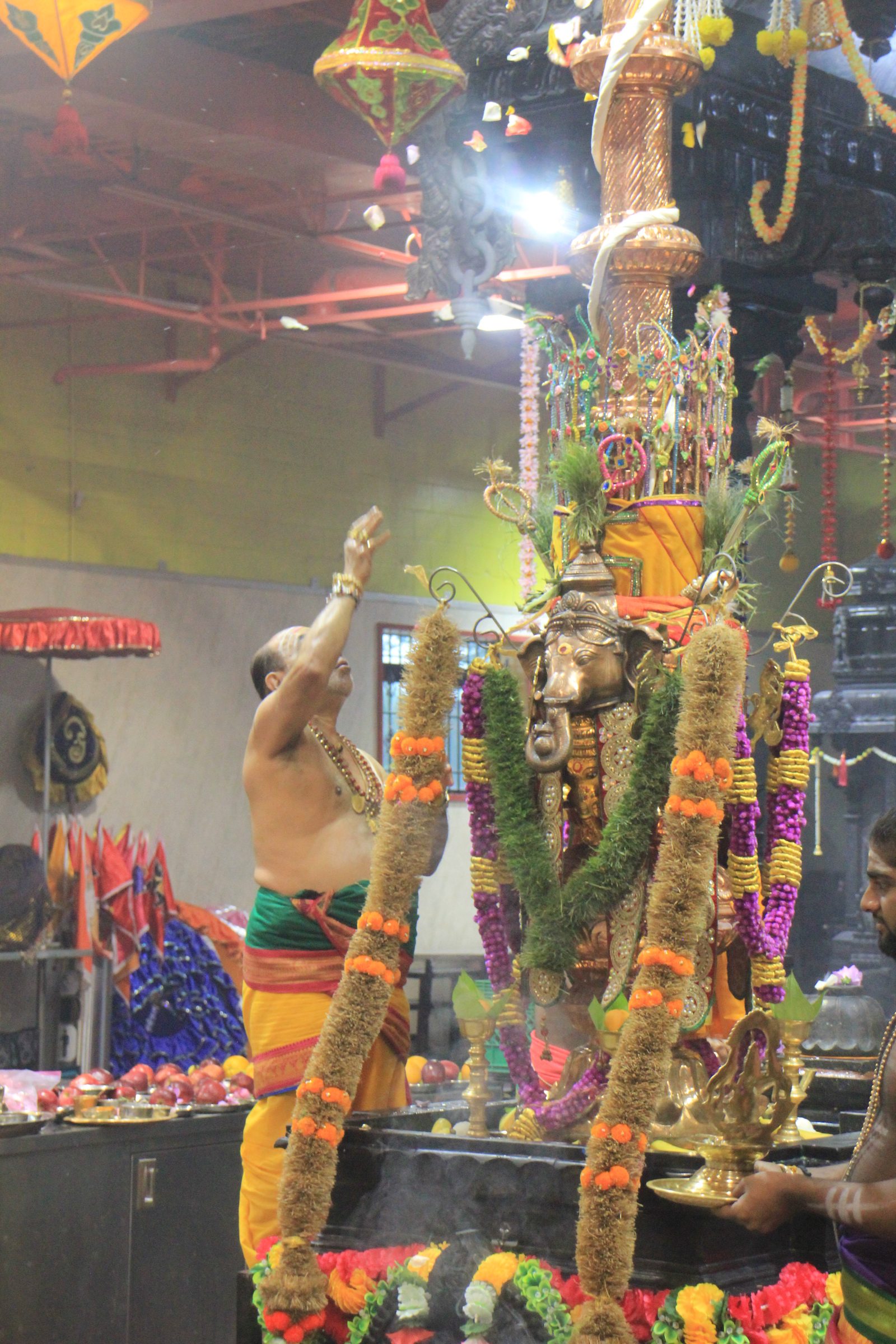 Festival 2026 photo