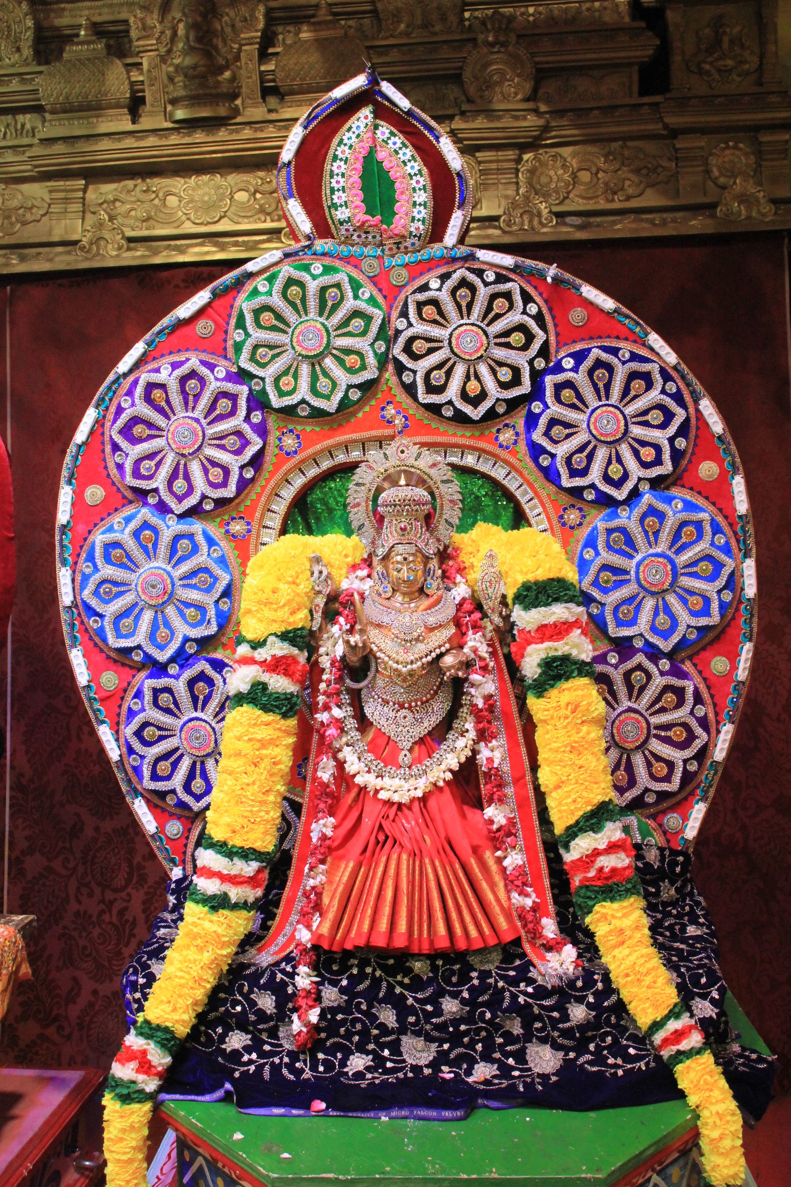 Festival 2026 photo