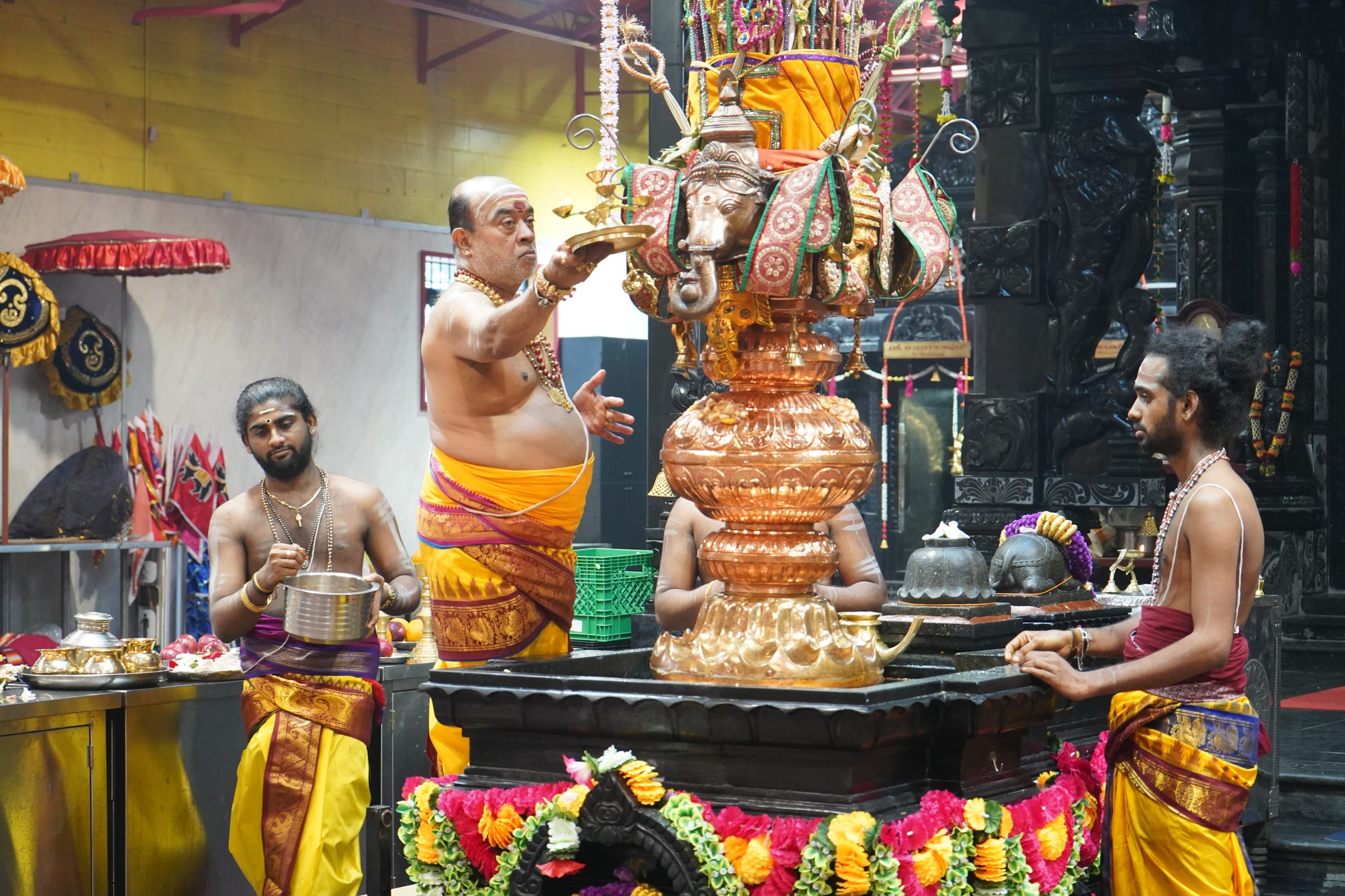 Festival 2026 photo