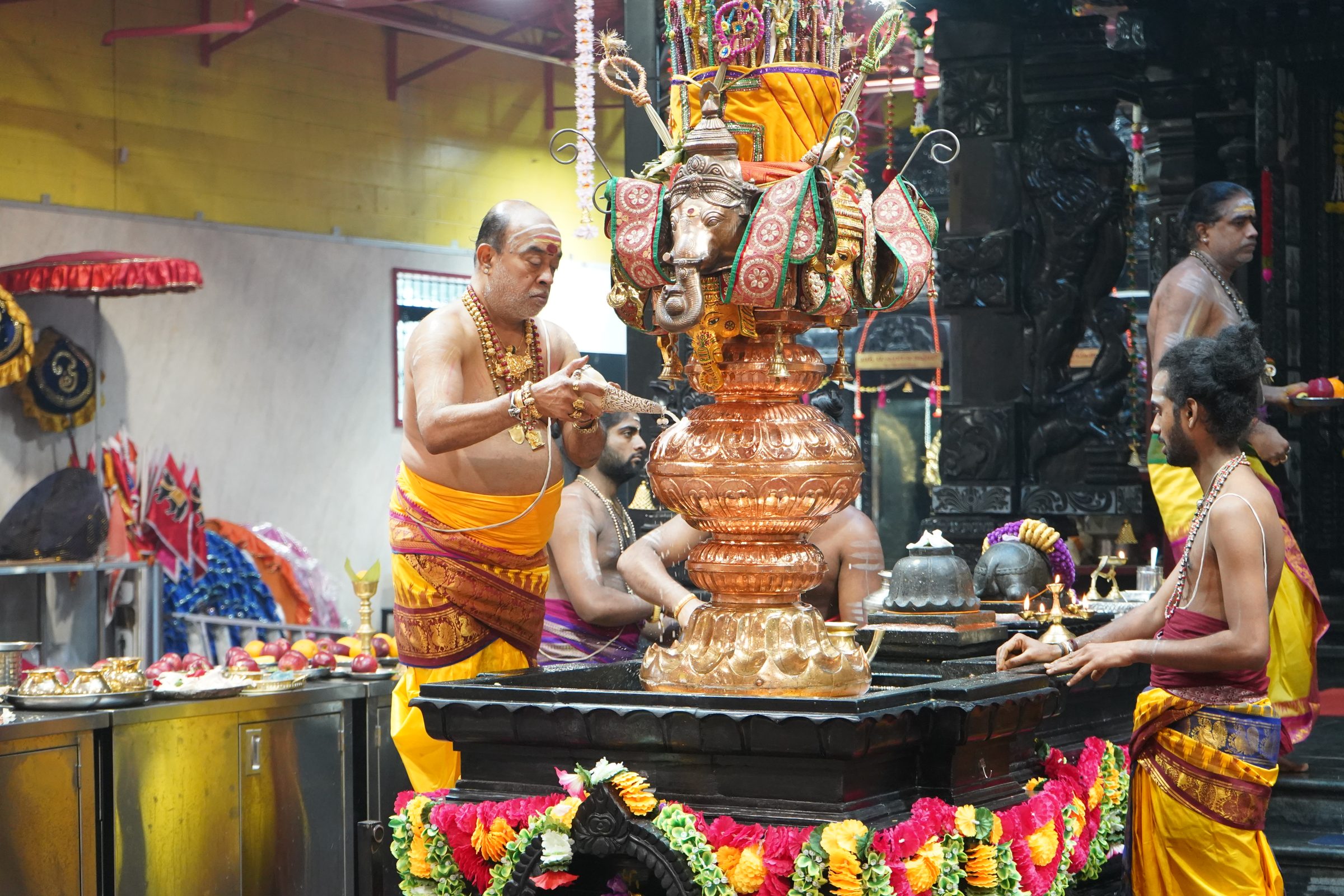Festival 2026 photo