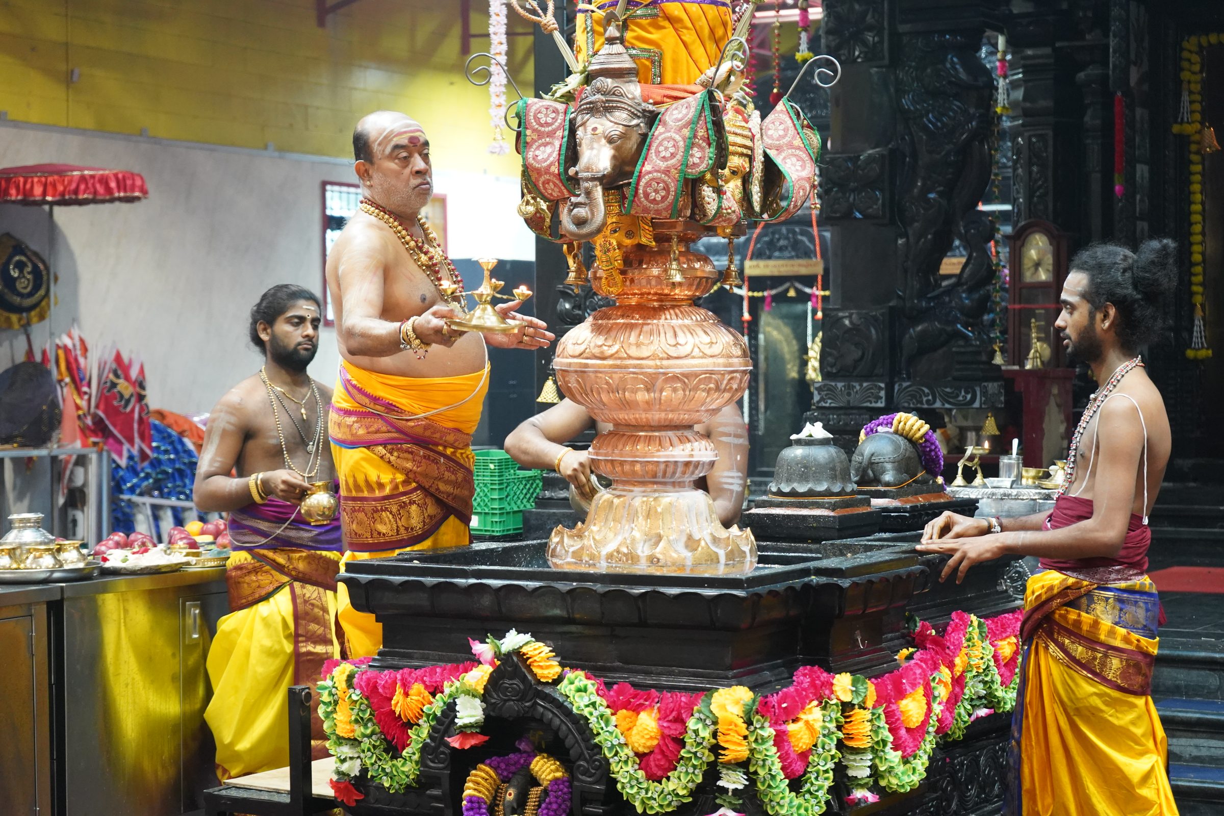 Festival 2026 photo