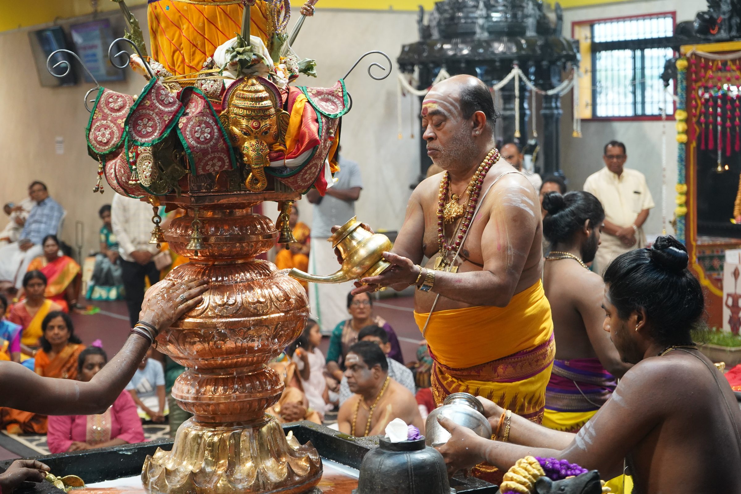 Festival 2026 photo