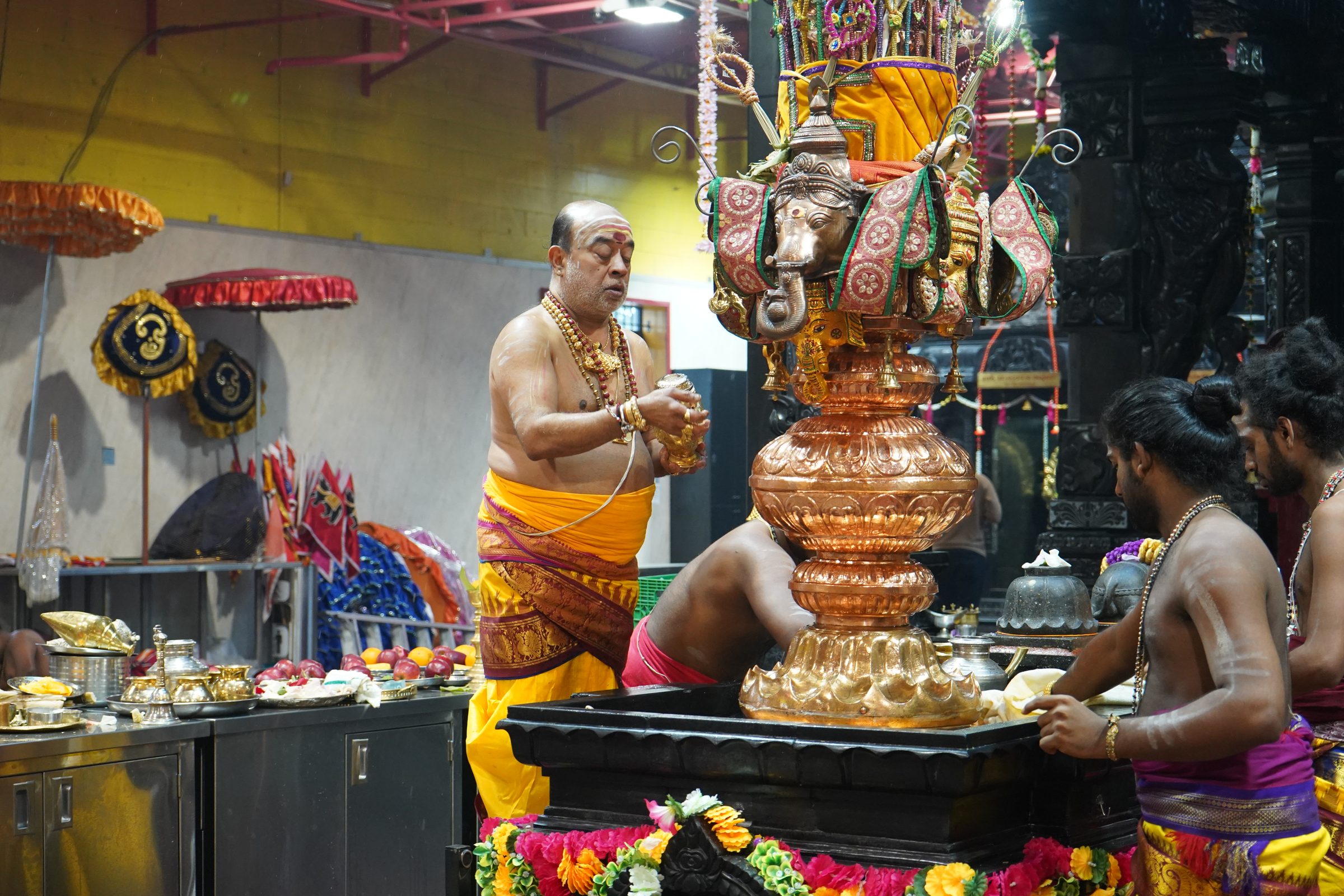 Festival 2026 photo