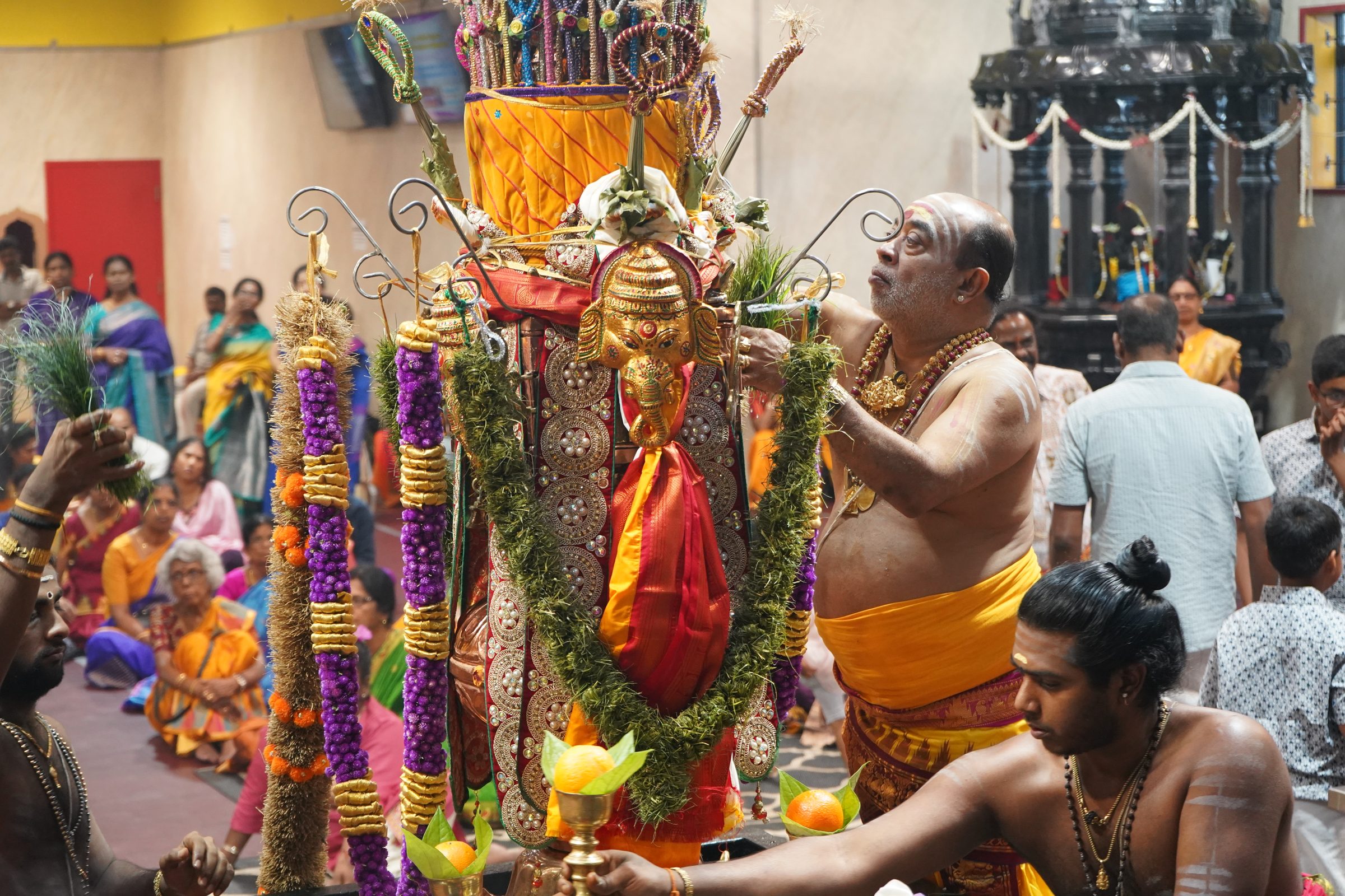 Festival 2026 photo