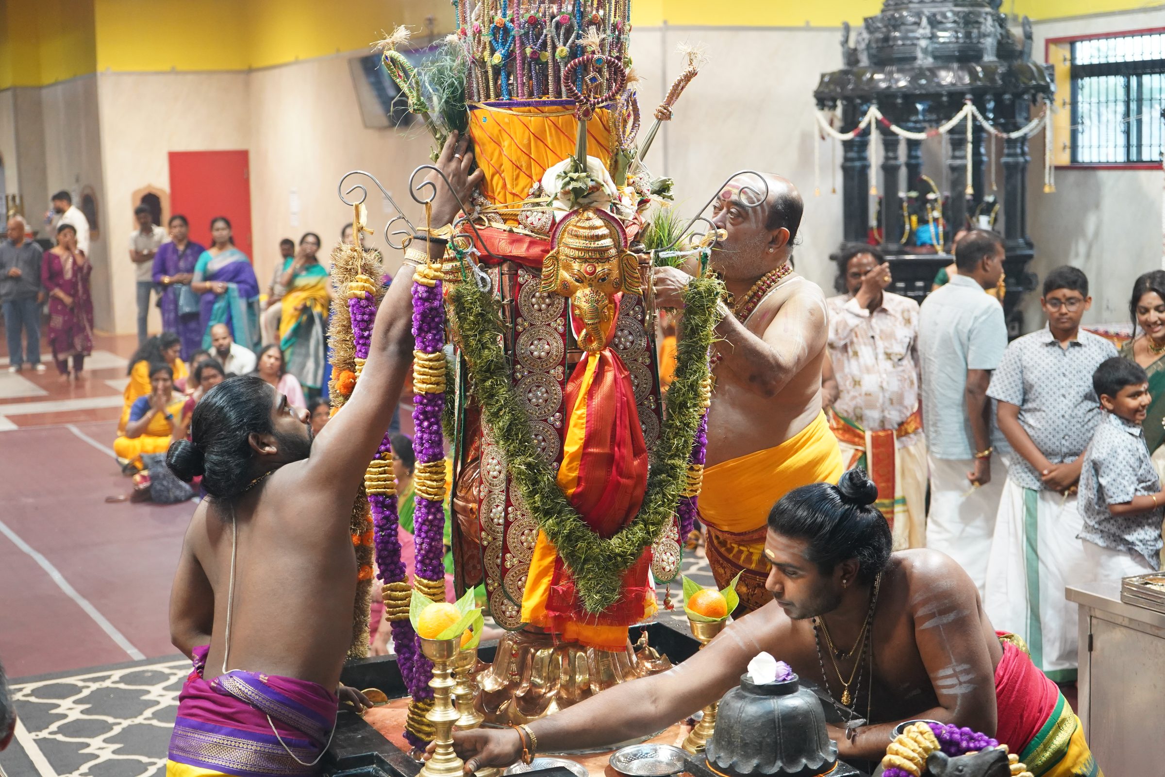 Festival 2026 photo