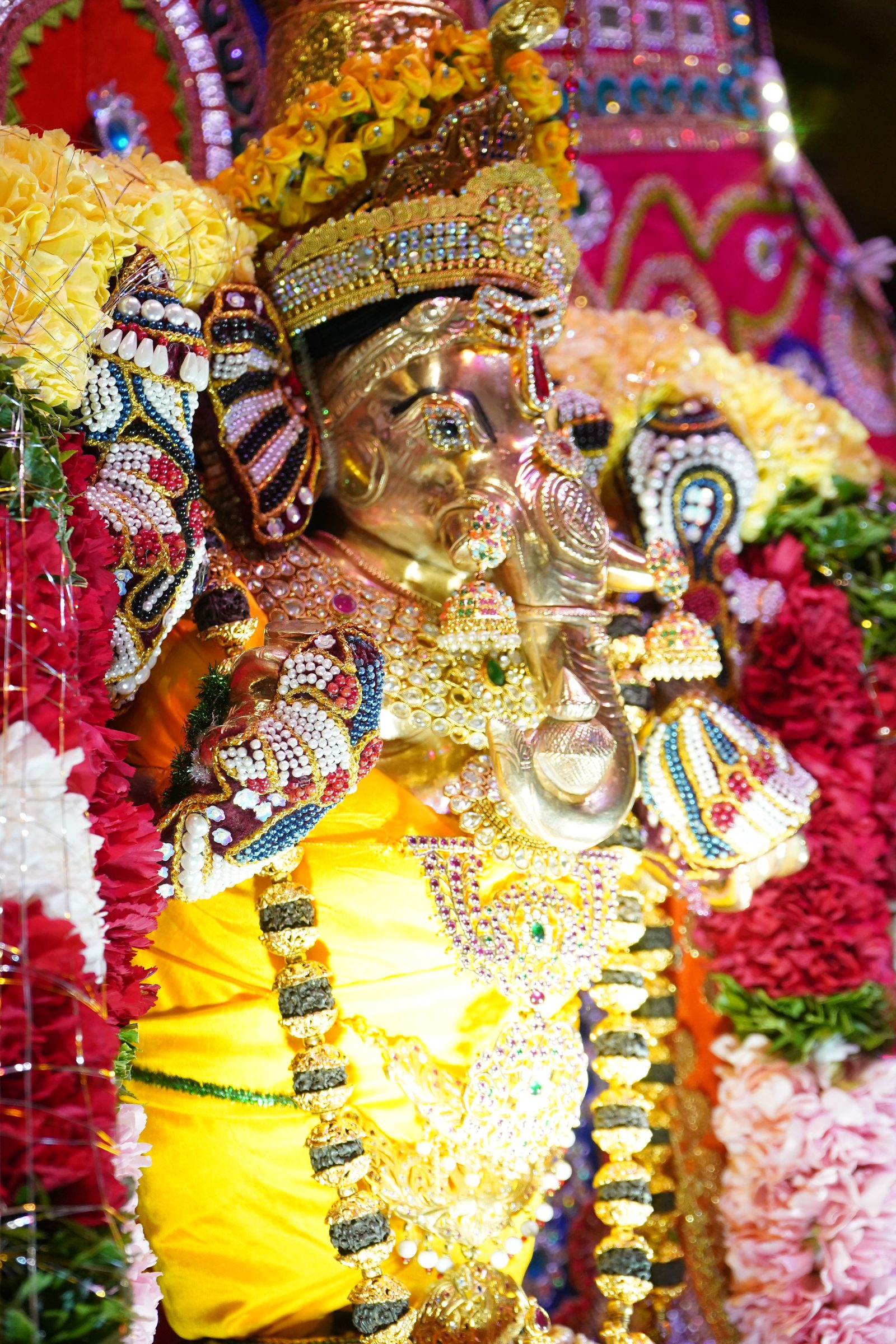Festival 2026 photo