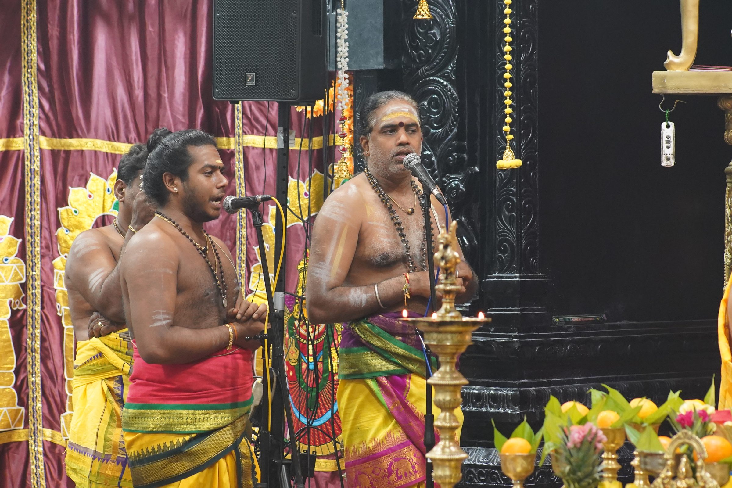 Festival 2026 photo