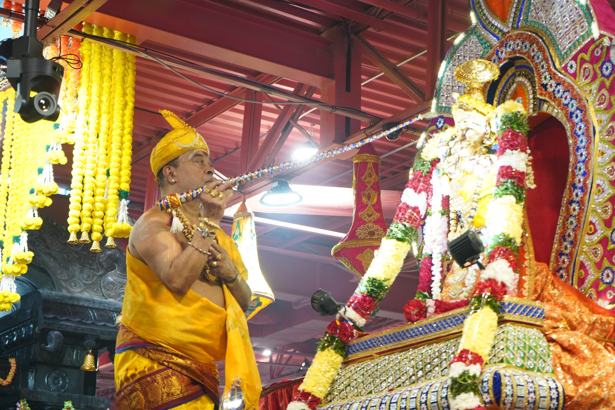 Festival 2026 photo