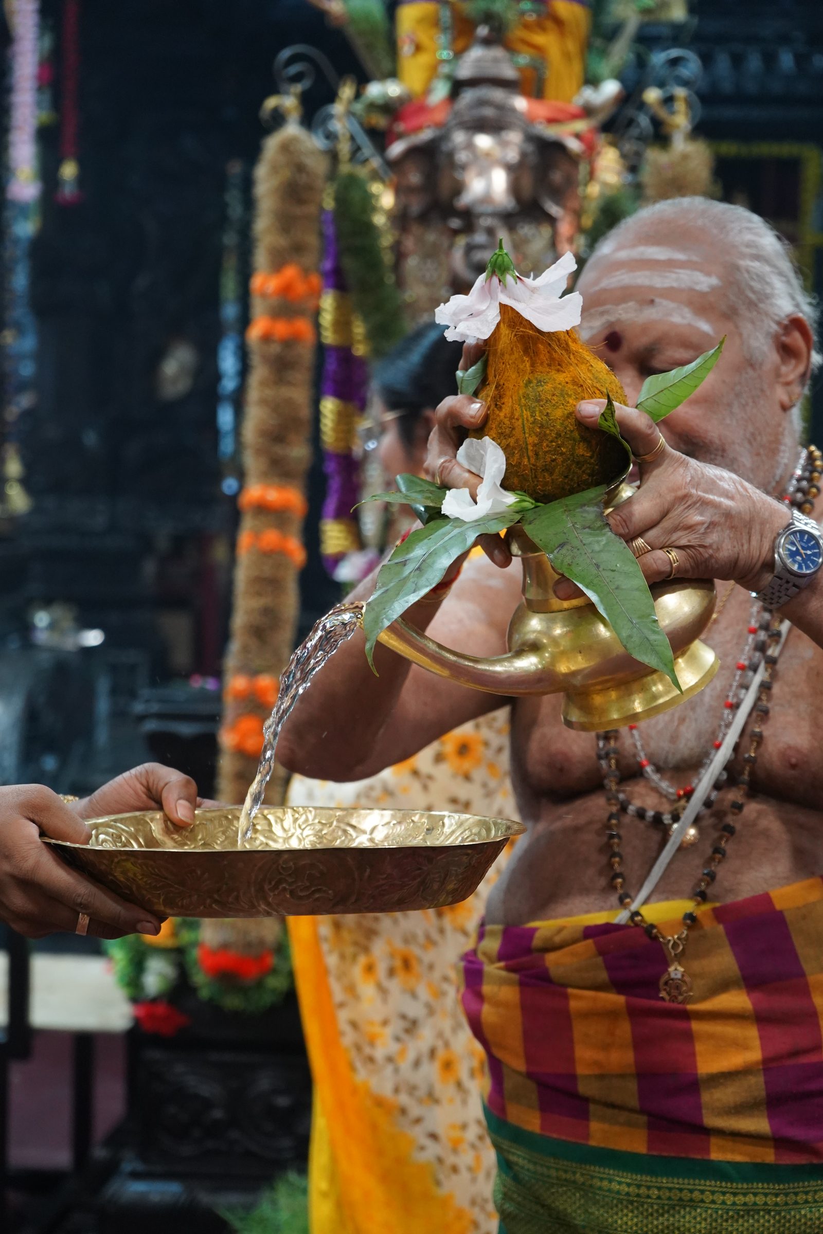 Festival 2026 photo