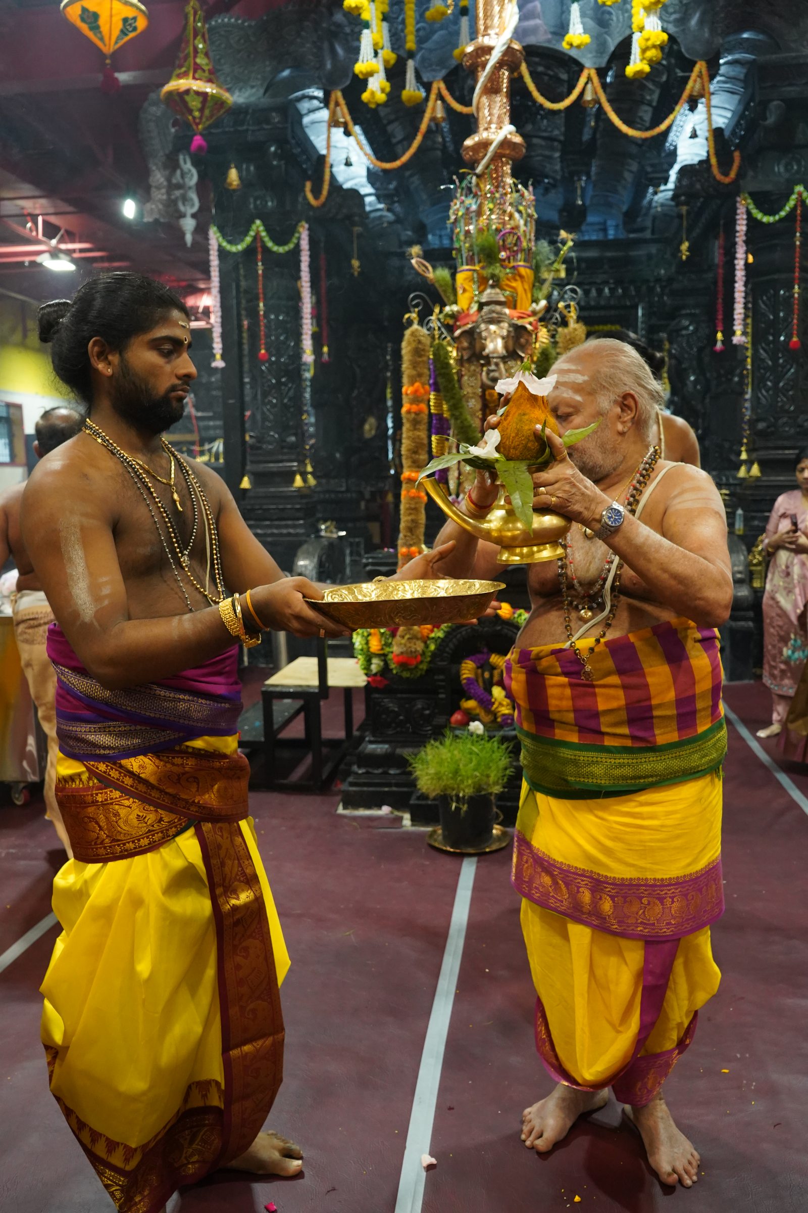 Festival 2026 photo