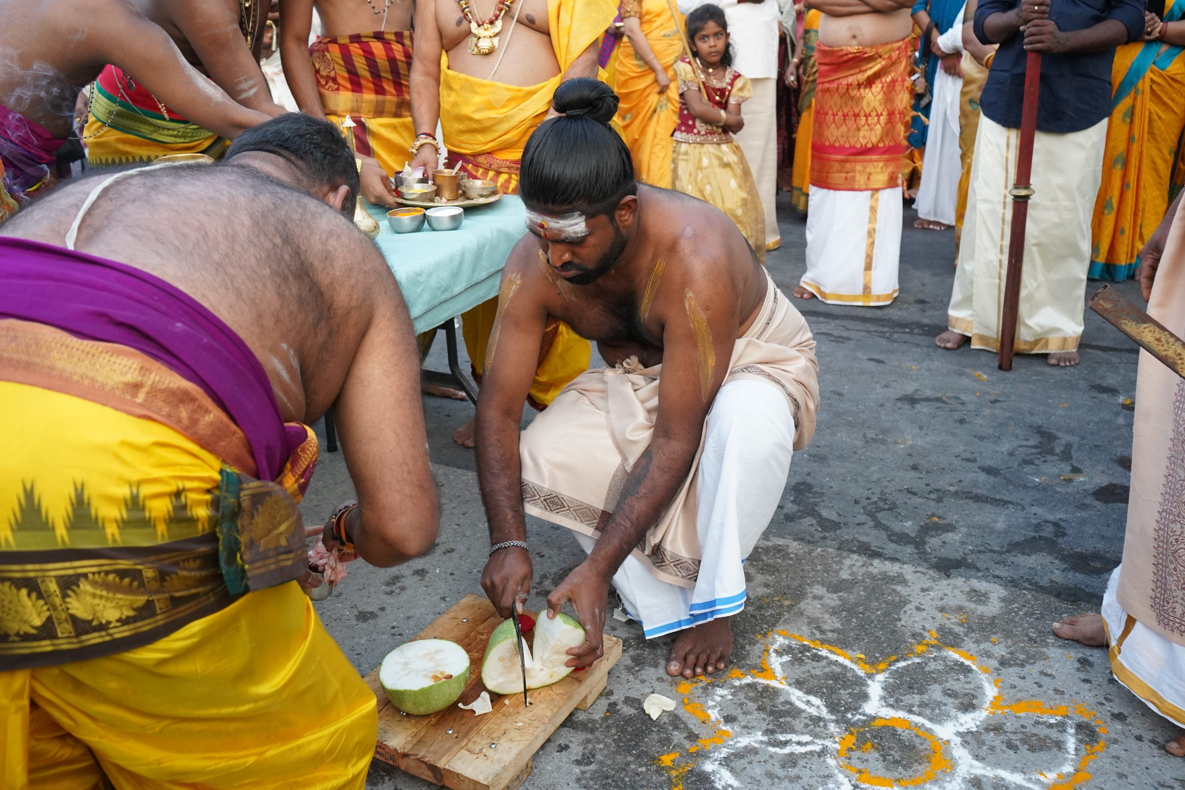 Festival 2026 photo