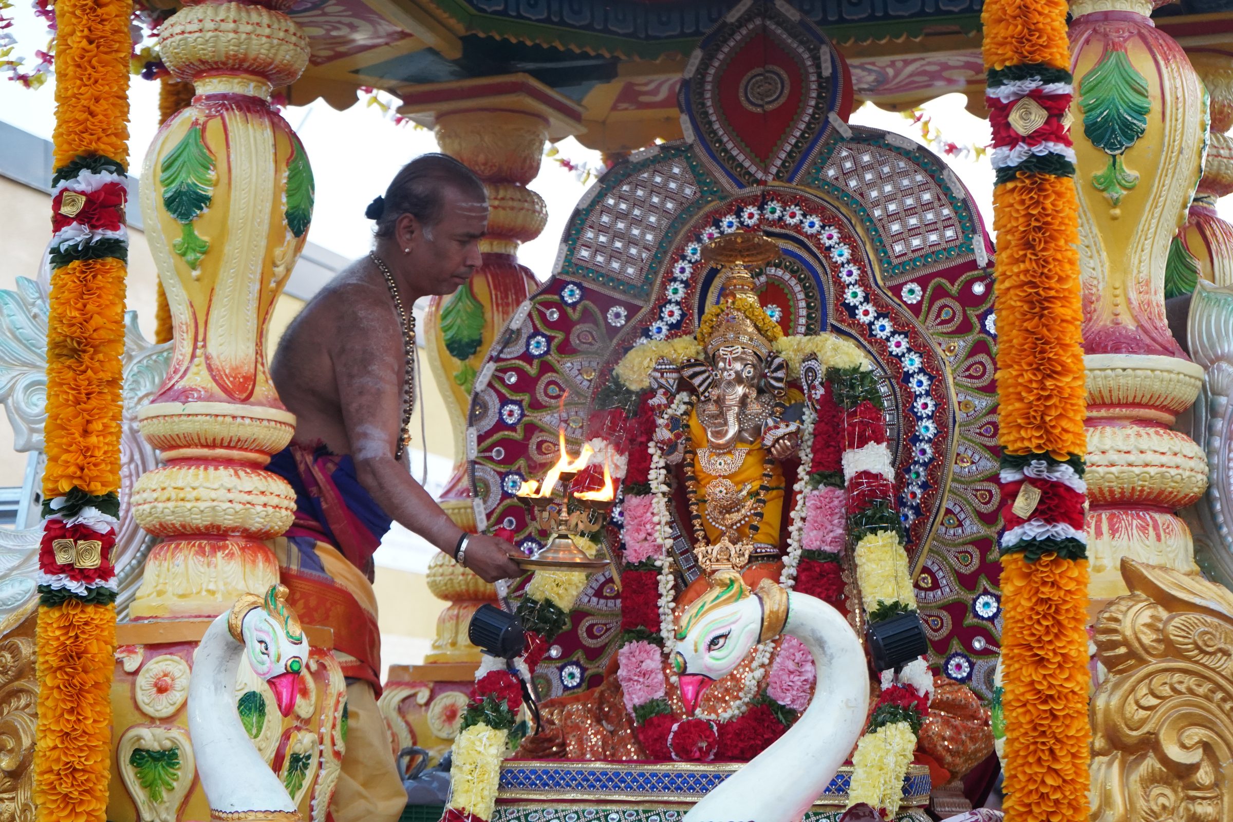 Festival 2026 photo