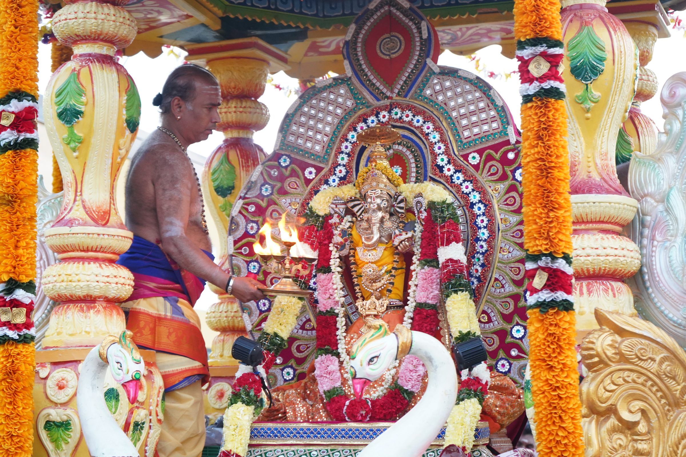 Festival 2026 photo