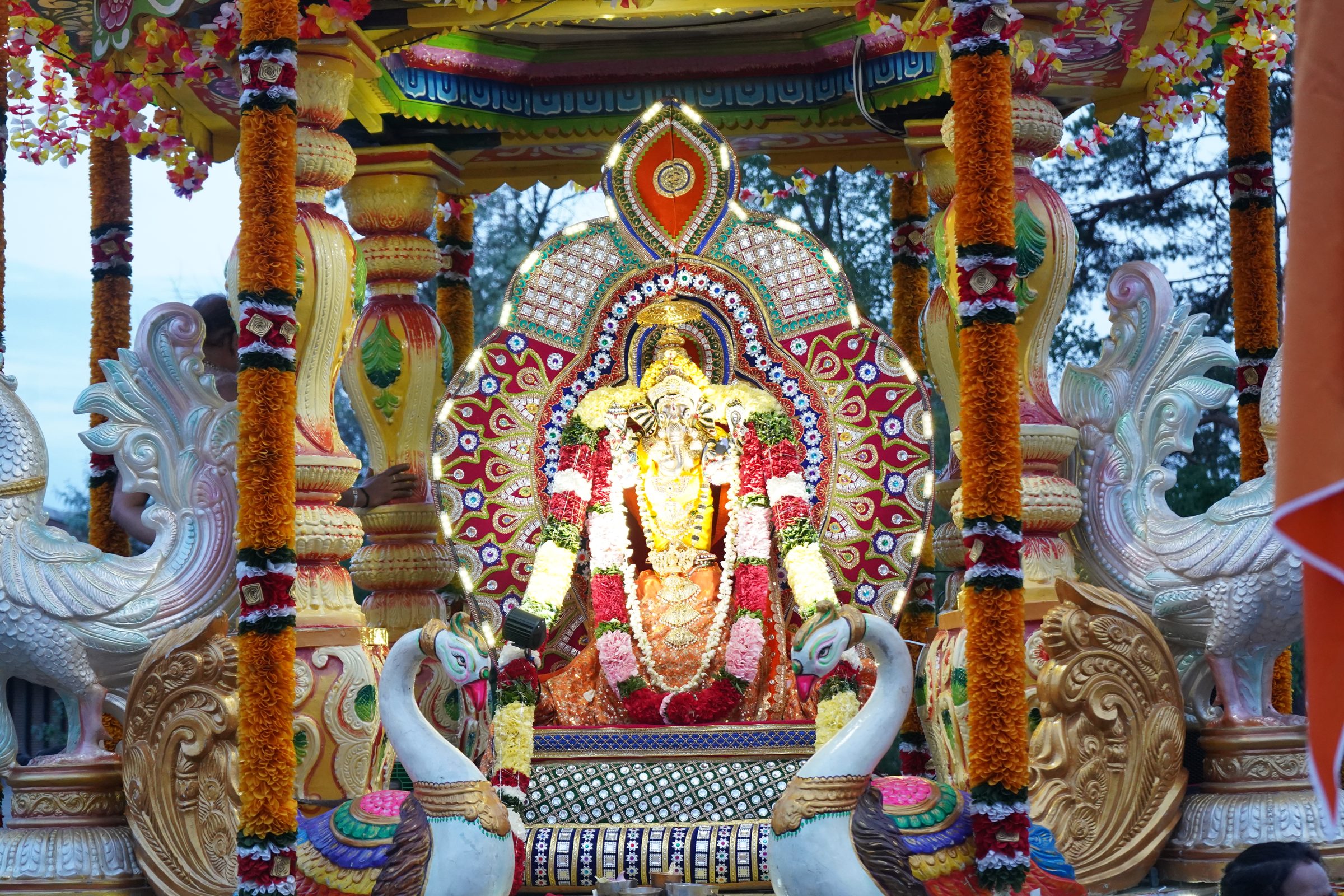 Festival 2026 photo