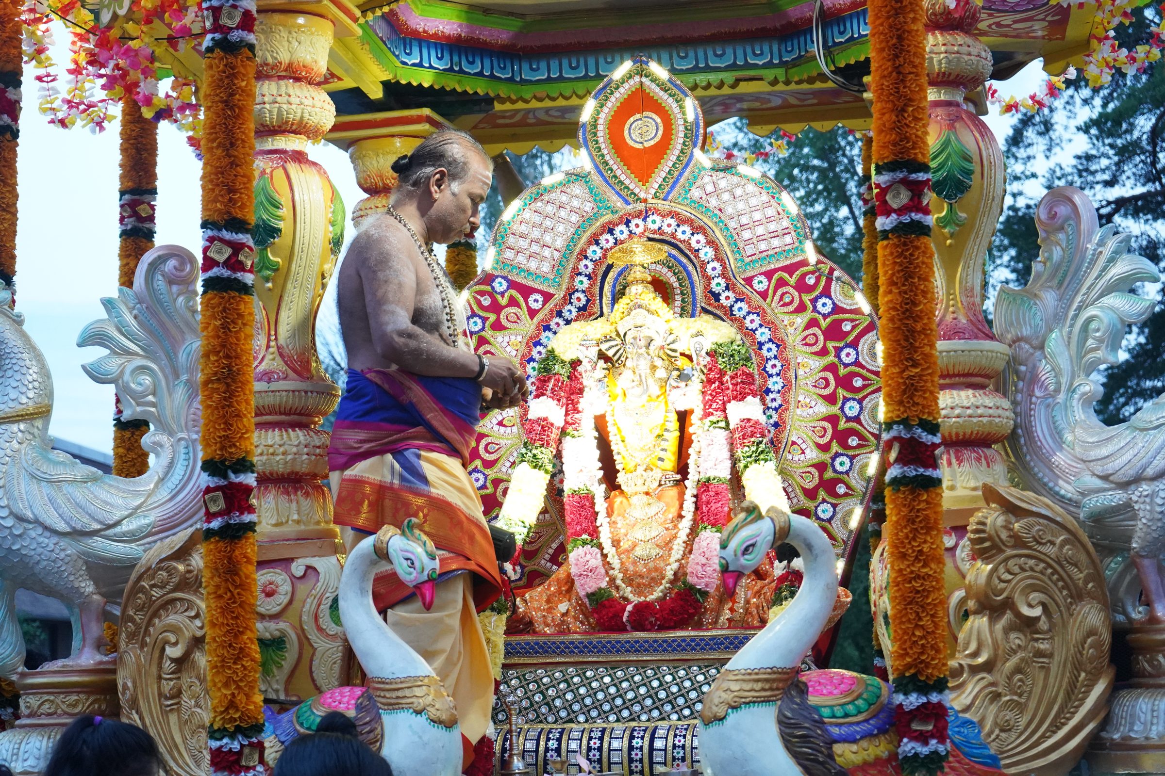Festival 2026 photo