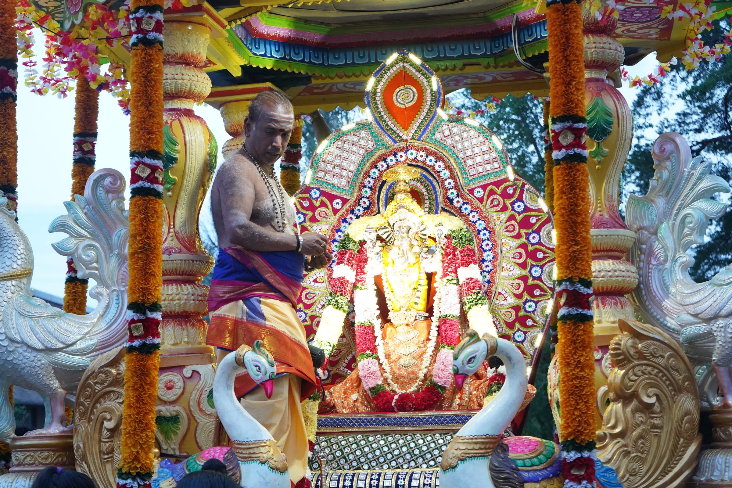 Festival 2026 photo