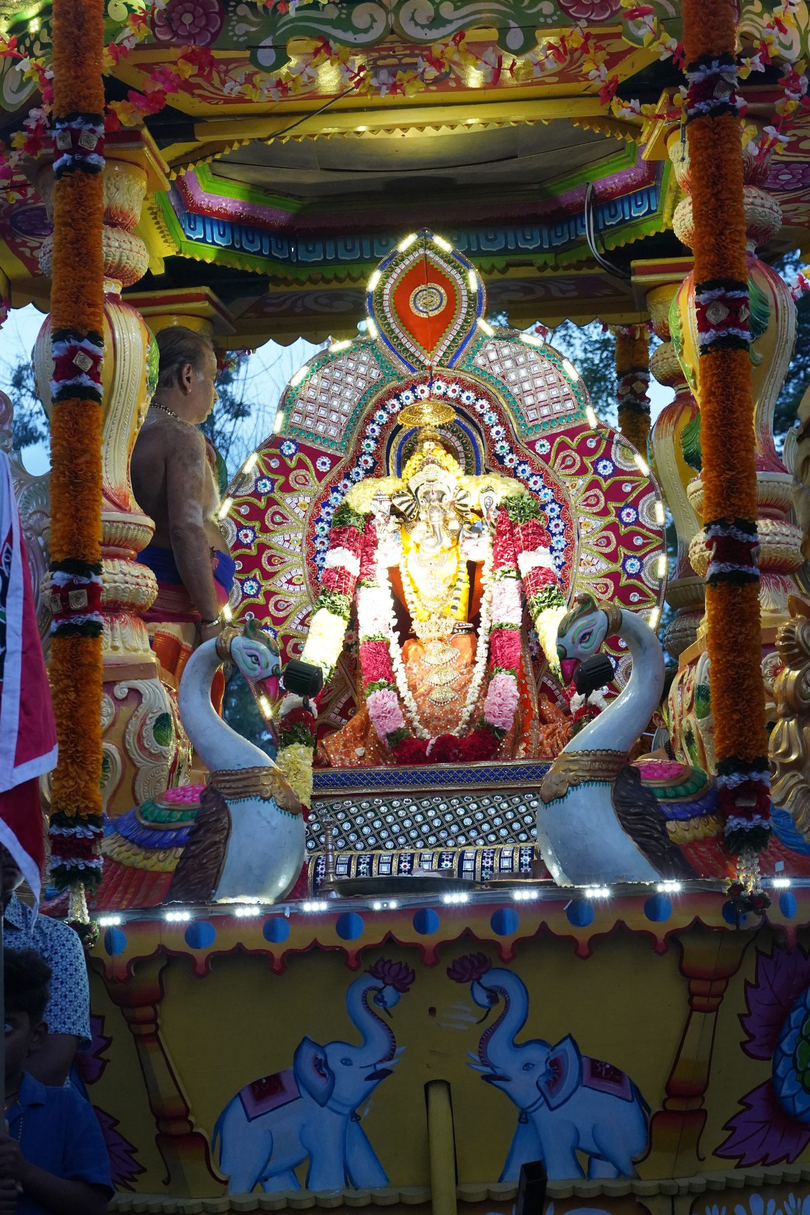 Festival 2026 photo
