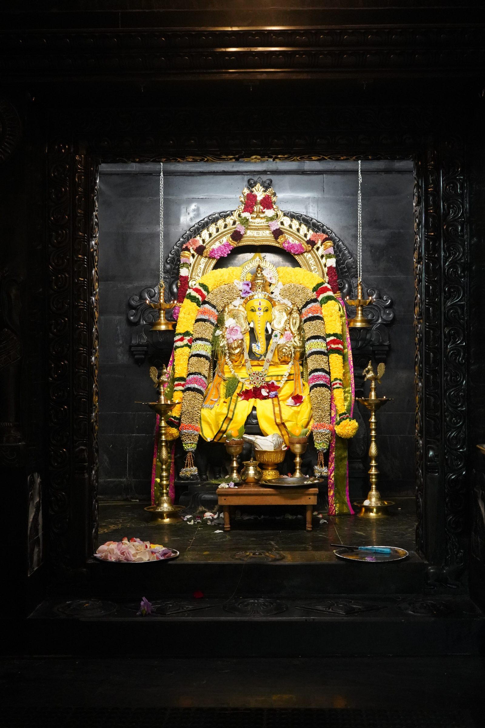 Festival 2026 photo