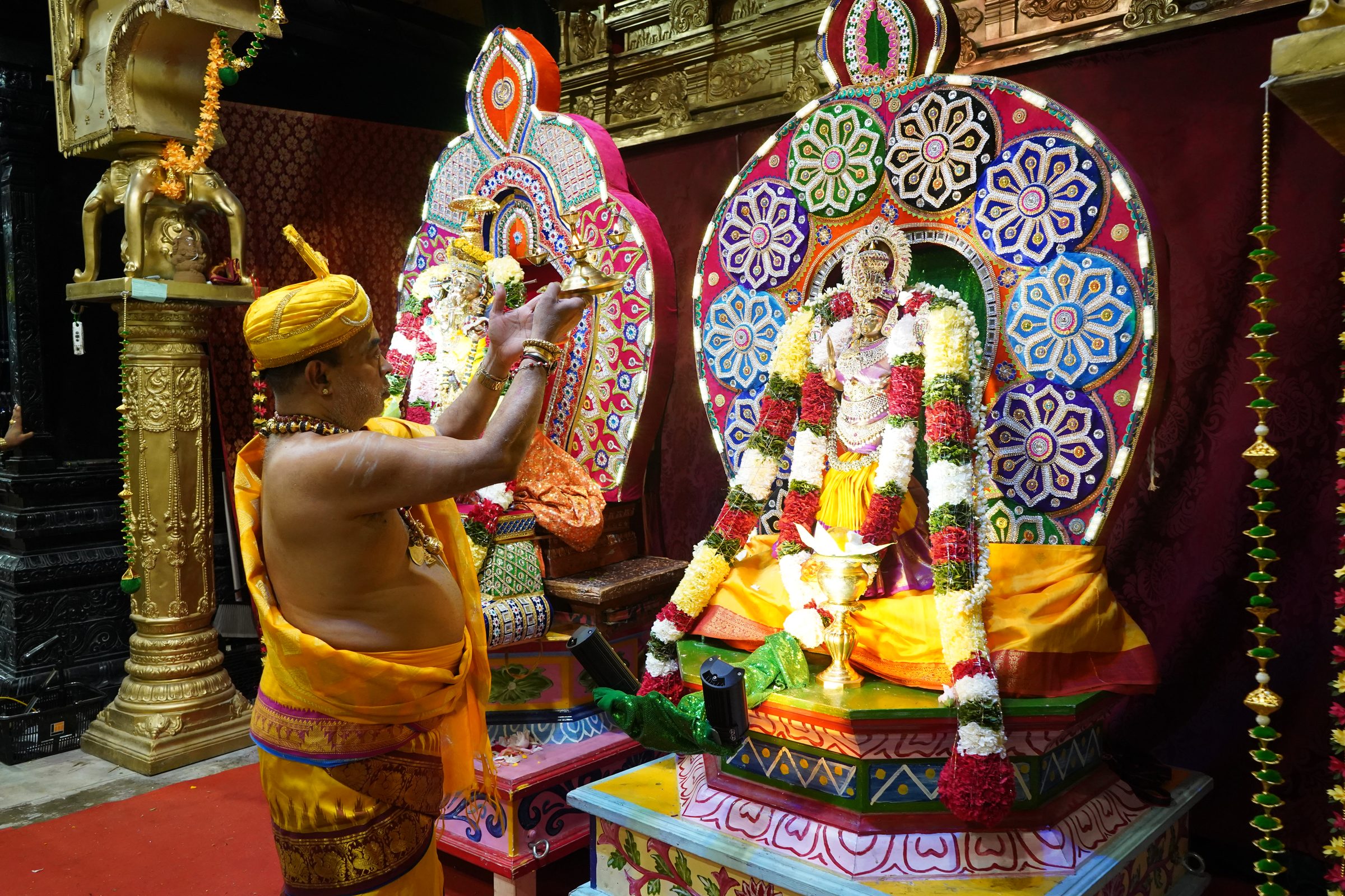 Festival 2026 photo