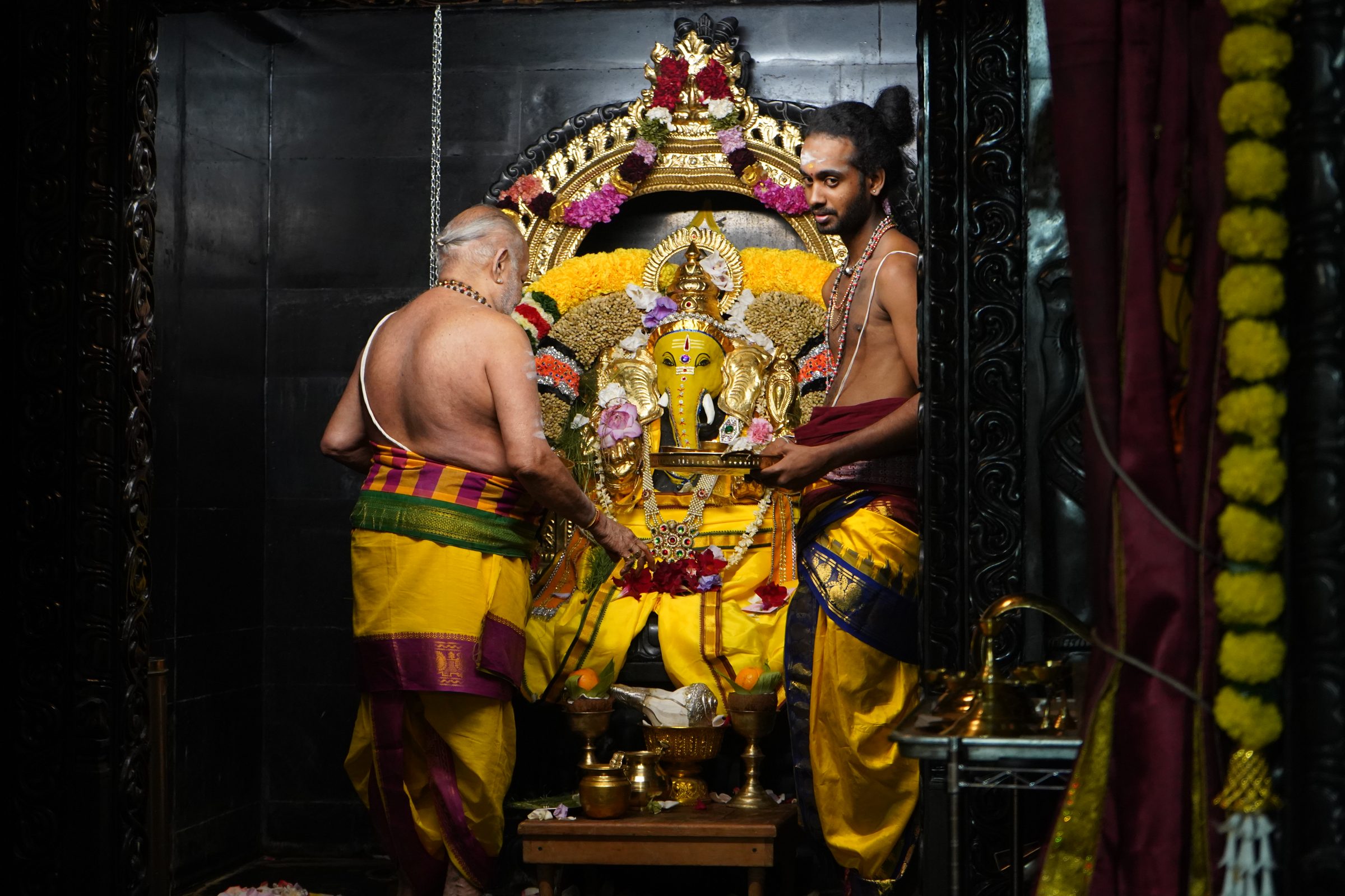 Festival 2026 photo