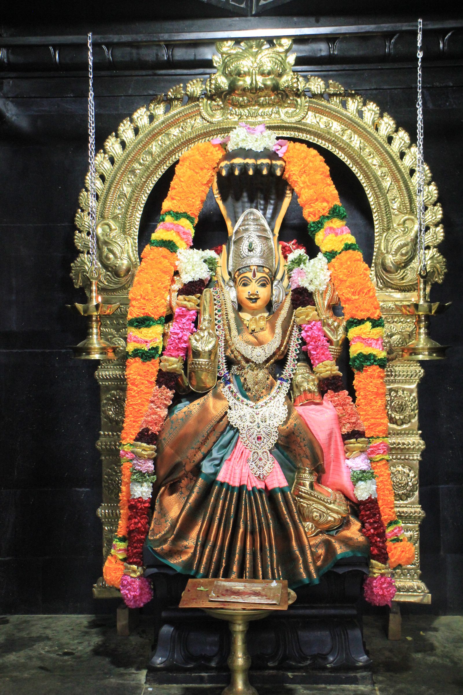 Festival 2026 photo