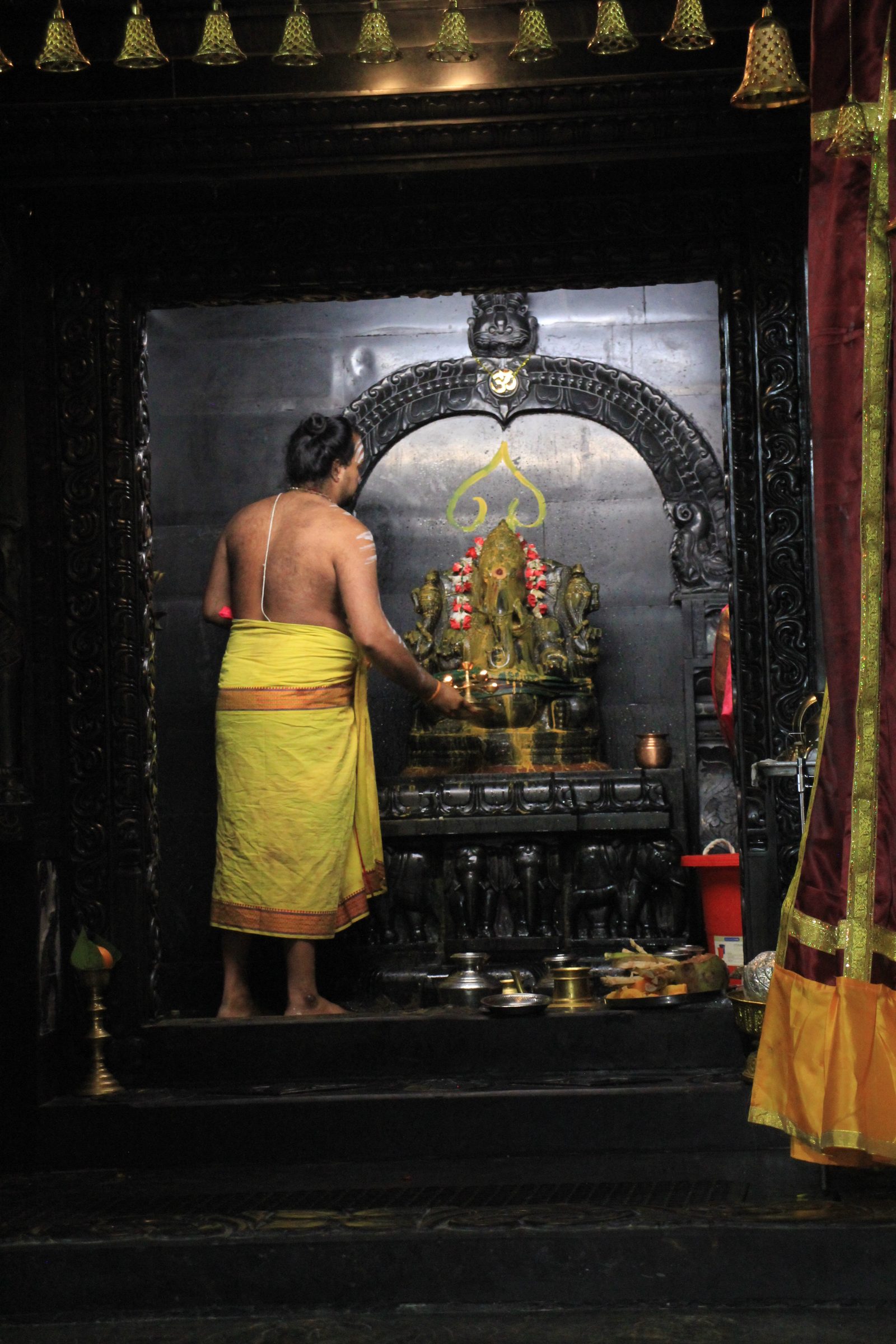 Festival 2026 photo
