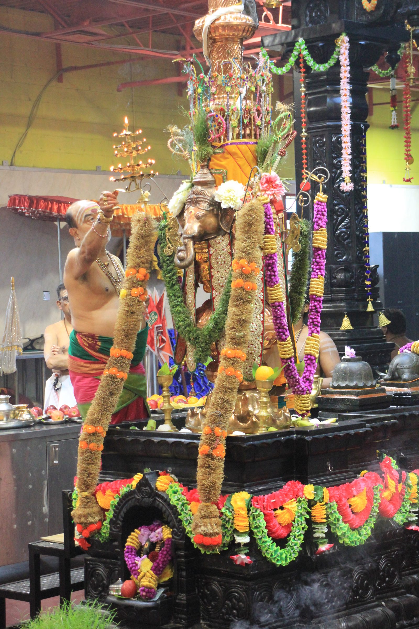 Festival 2026 photo