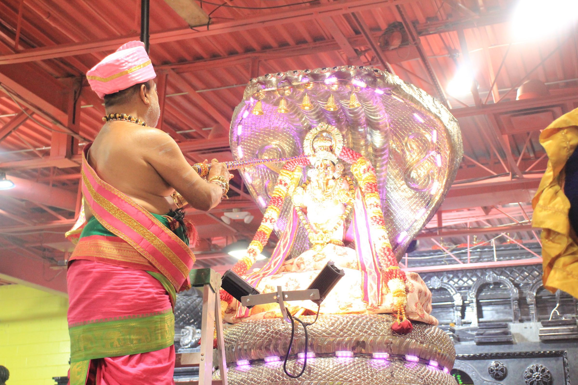 Festival 2026 photo