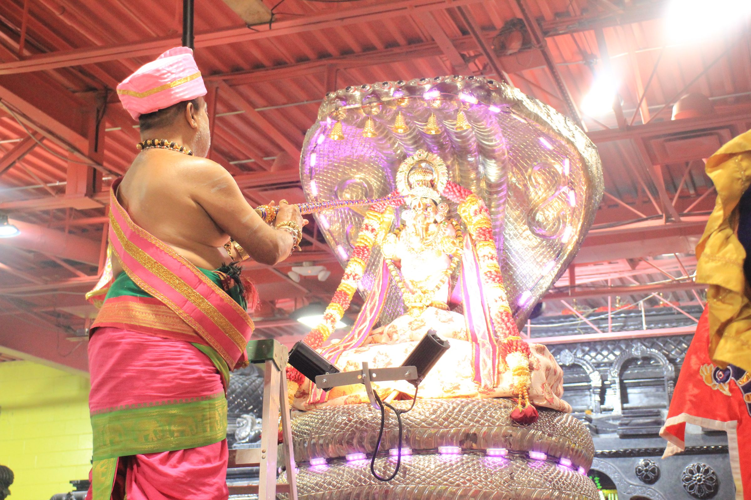 Festival 2026 photo