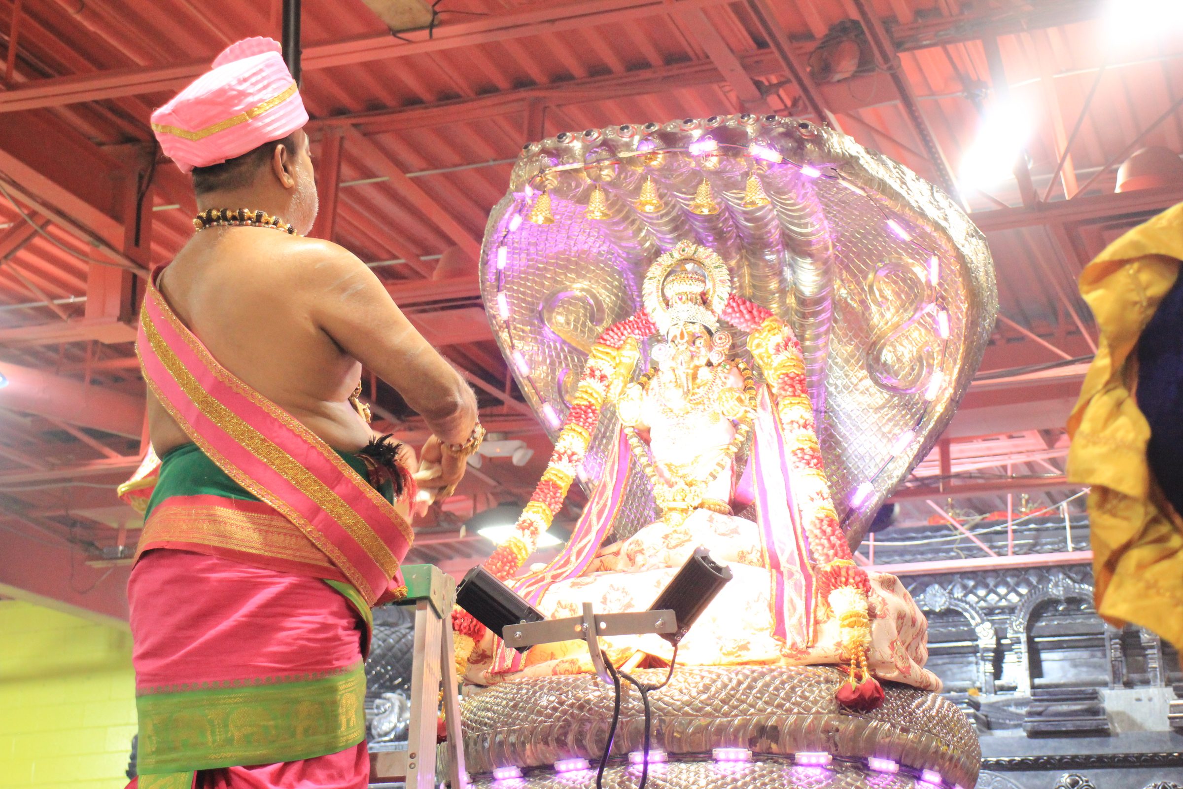 Festival 2026 photo