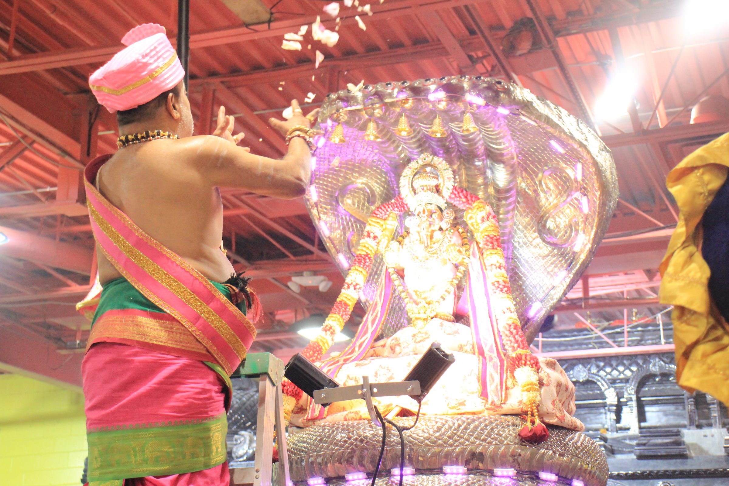 Festival 2026 photo