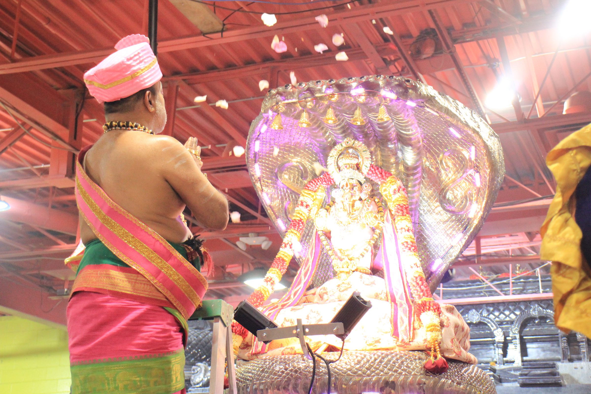 Festival 2026 photo