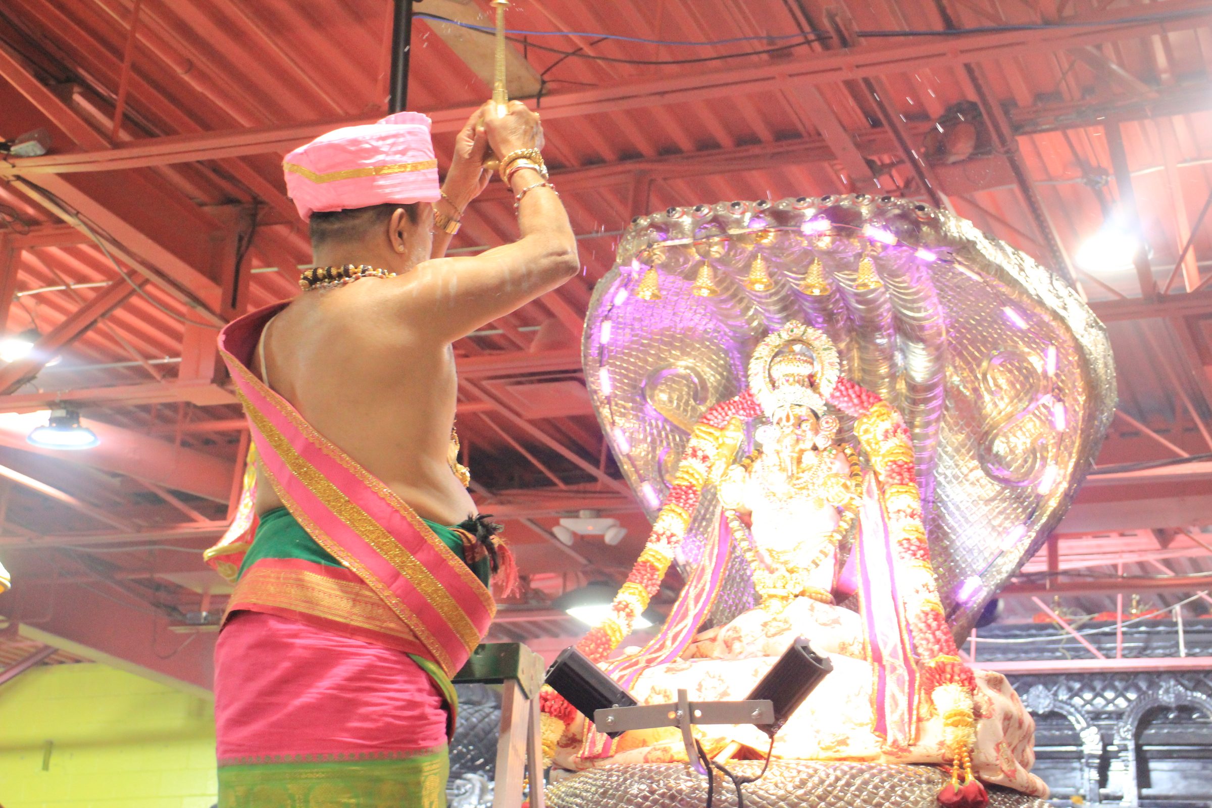 Festival 2026 photo
