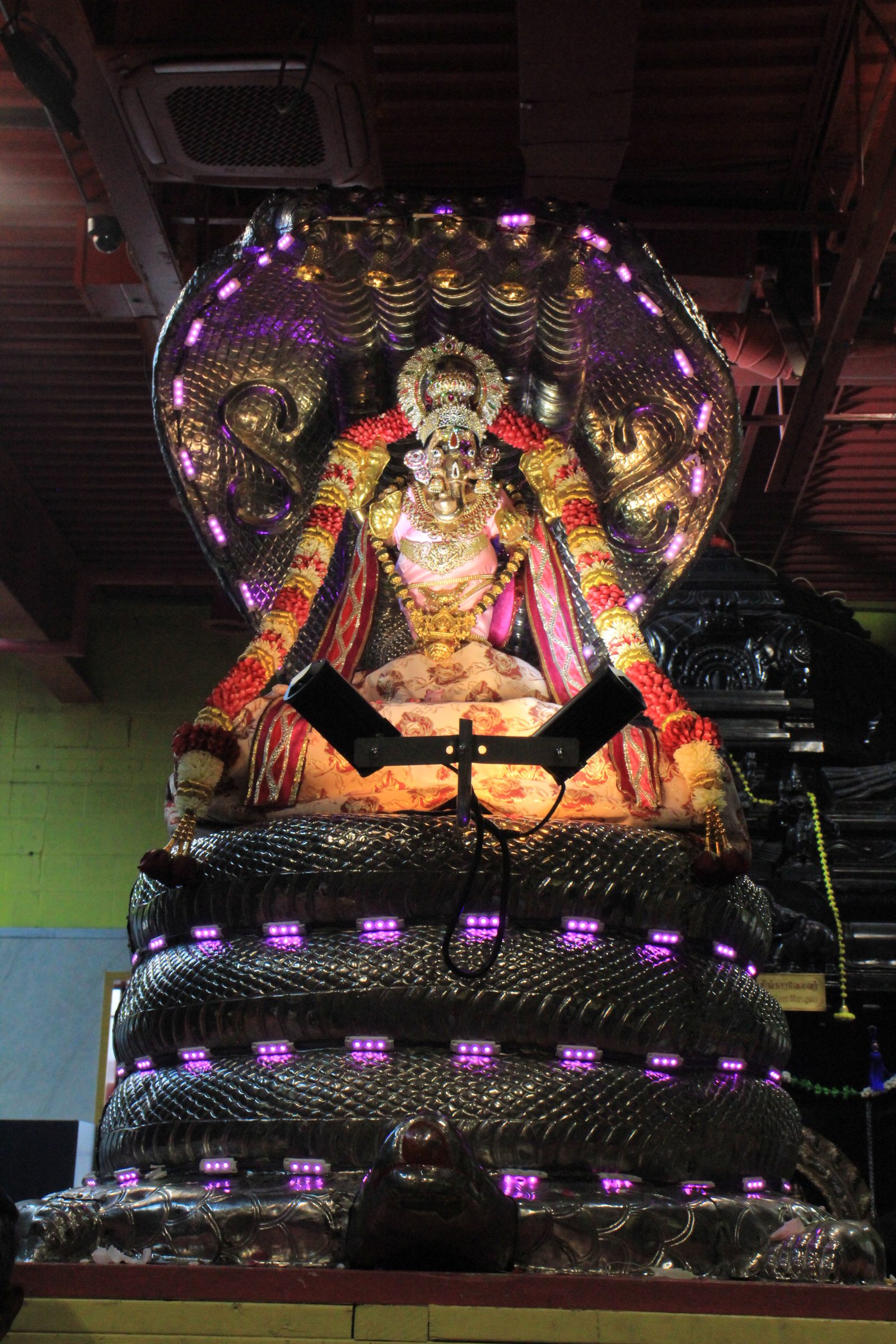 Festival 2026 photo