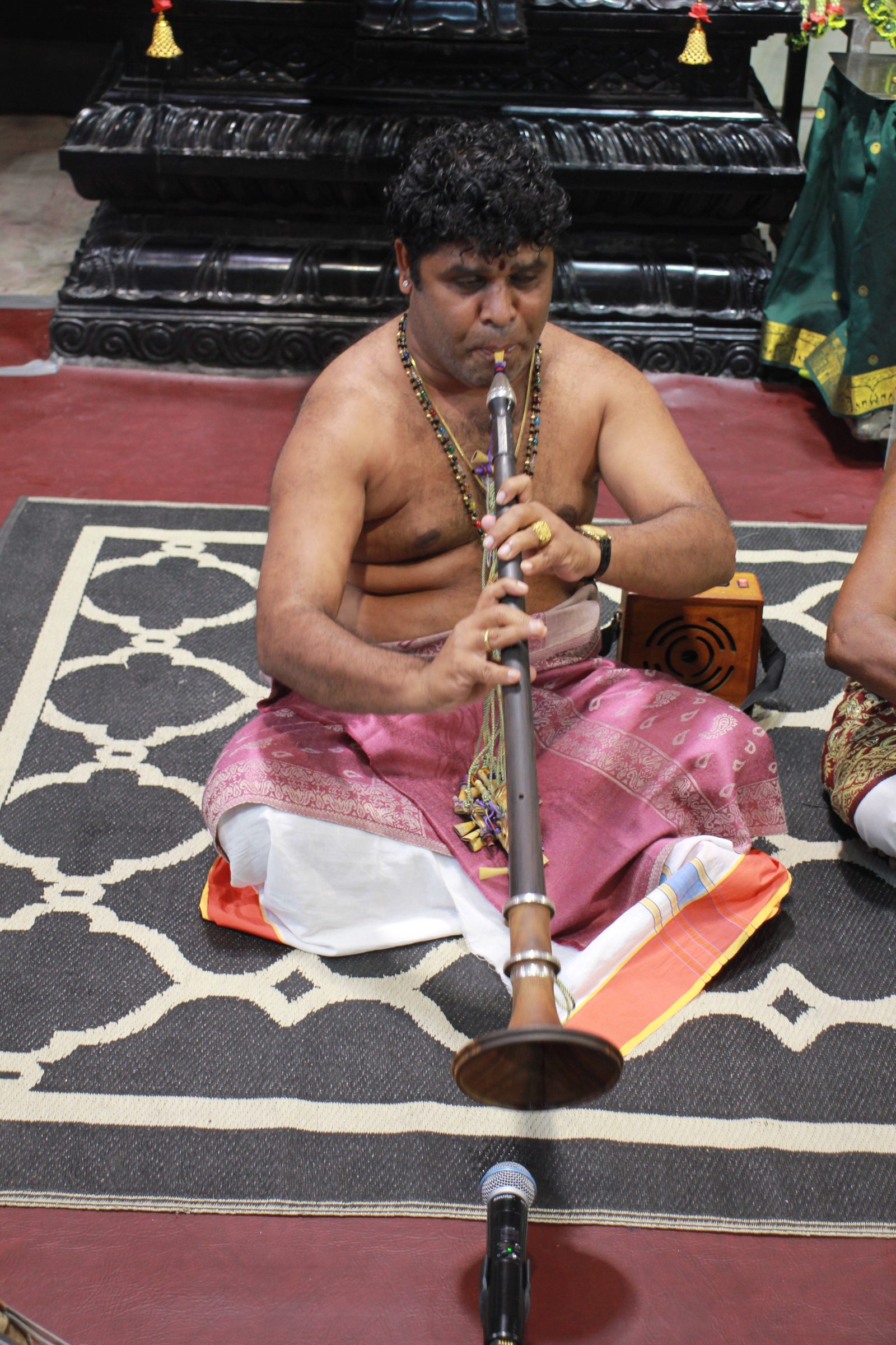 Festival 2026 photo