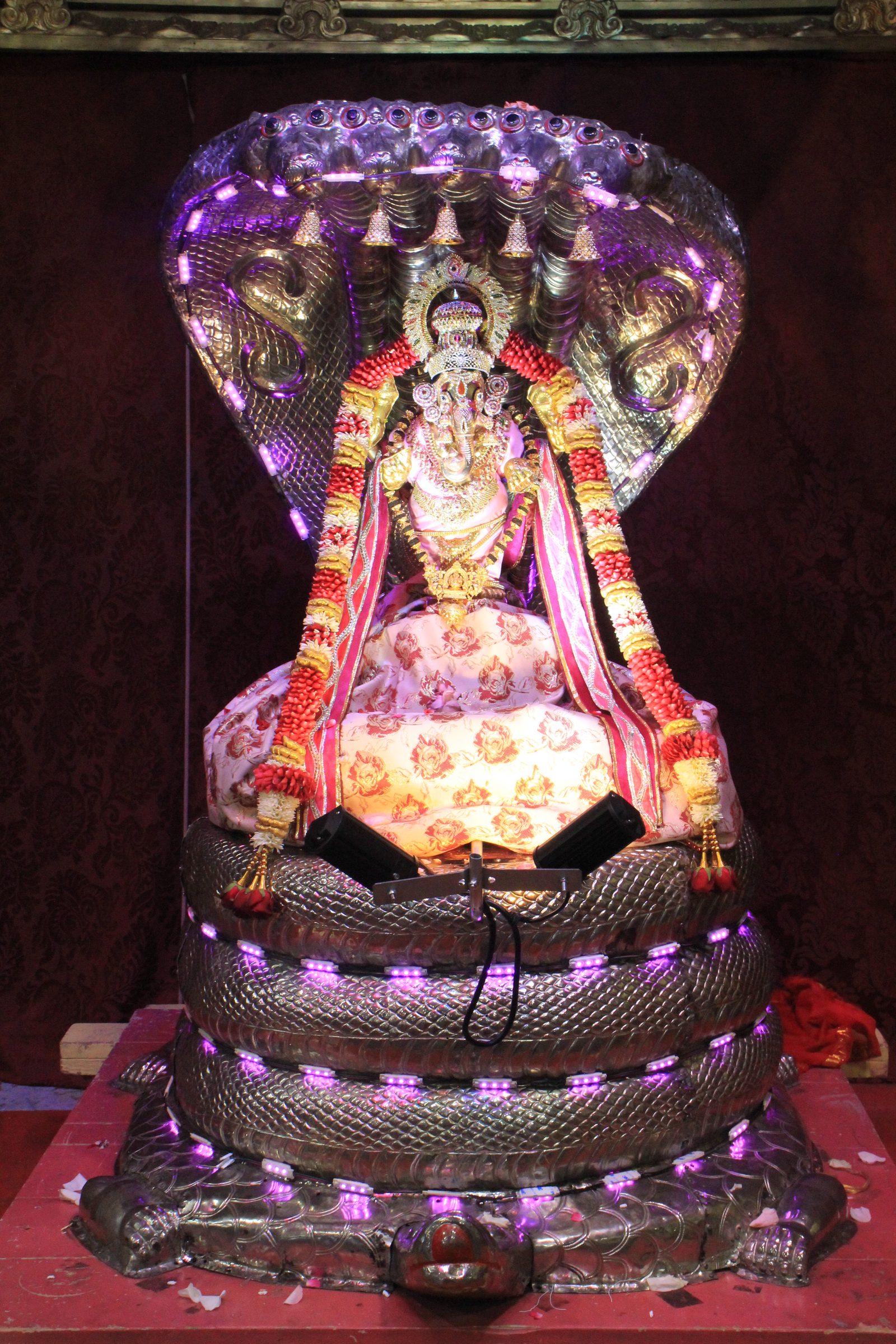Festival 2026 photo