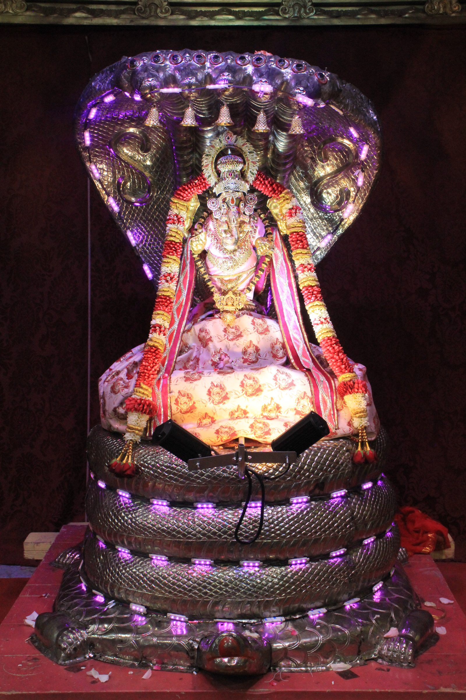 Festival 2026 photo
