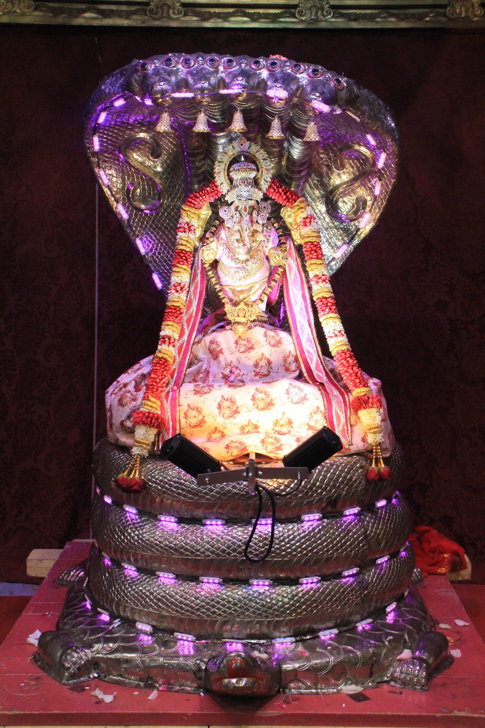 Festival 2026 photo