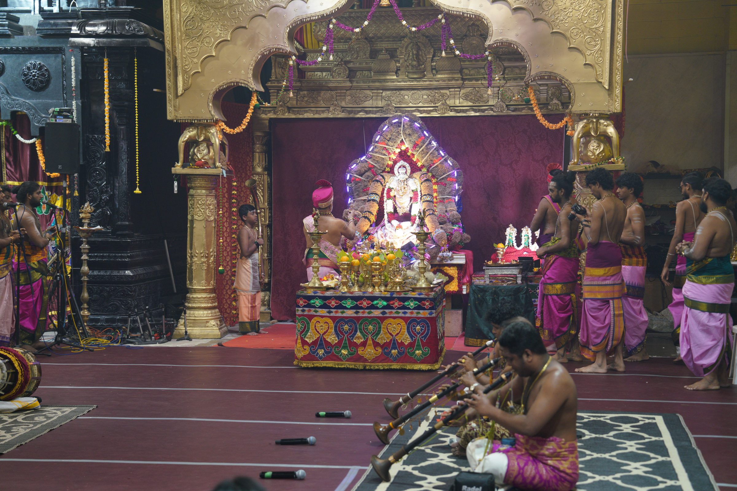 Festival 2026 photo