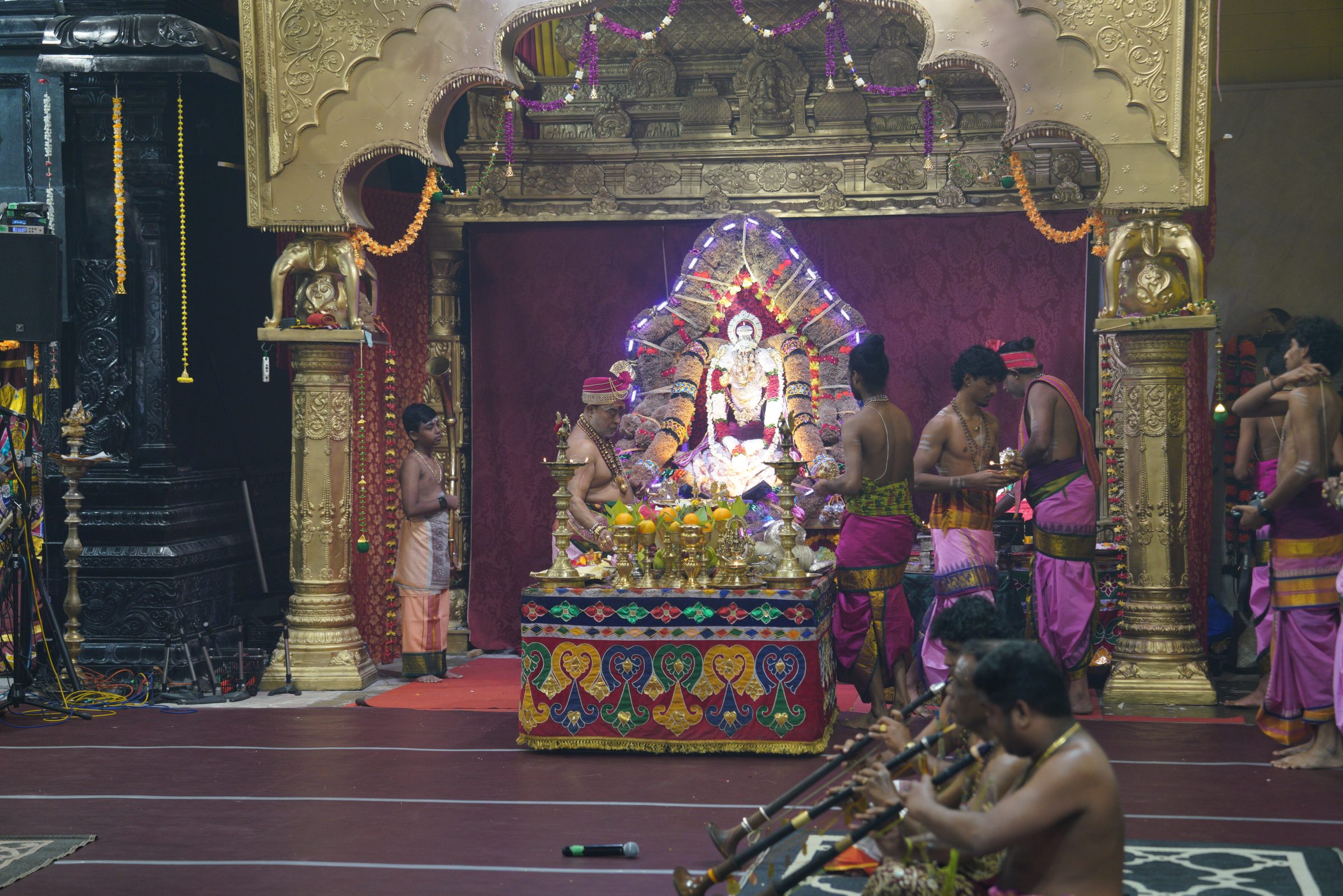 Festival 2026 photo
