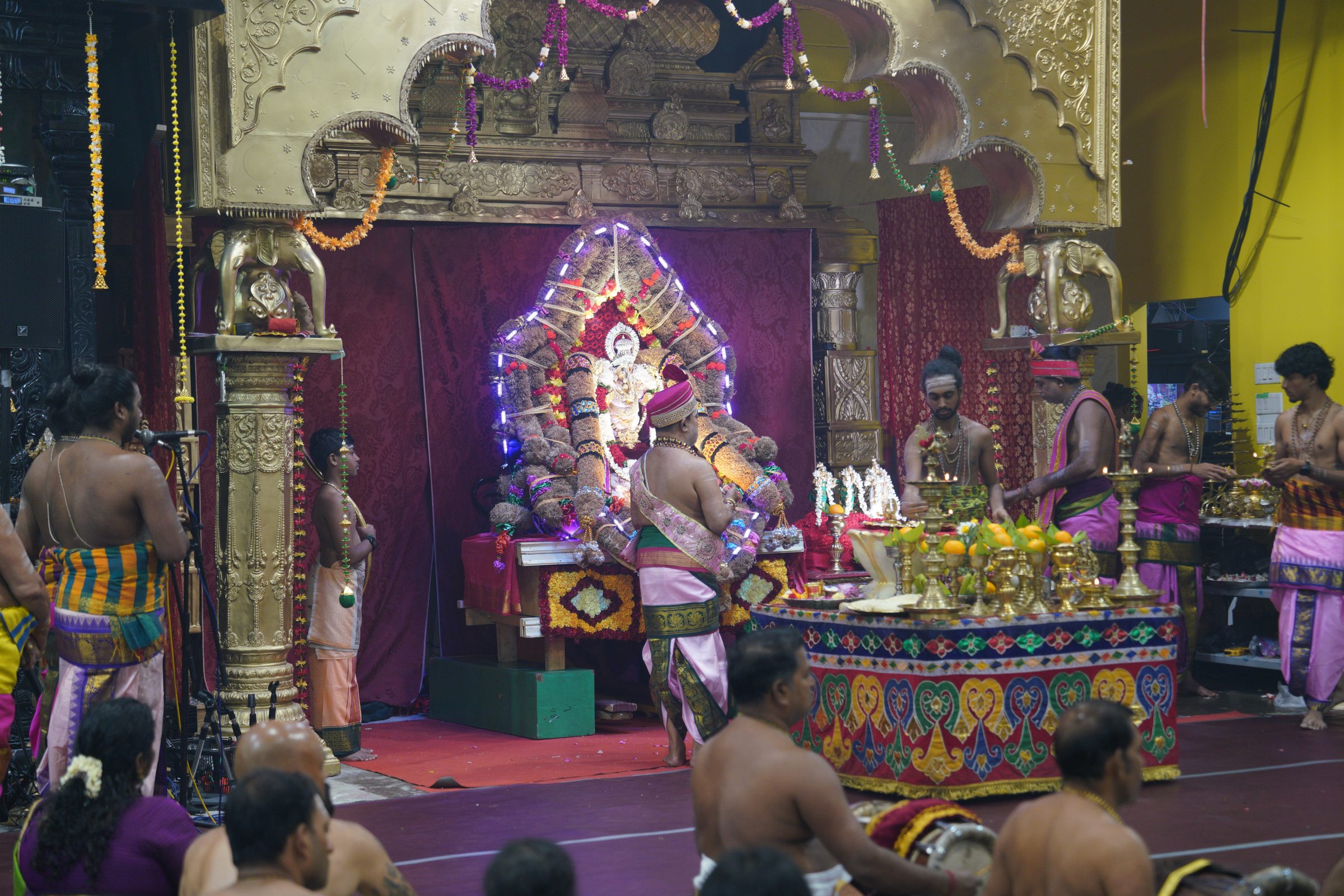 Festival 2026 photo