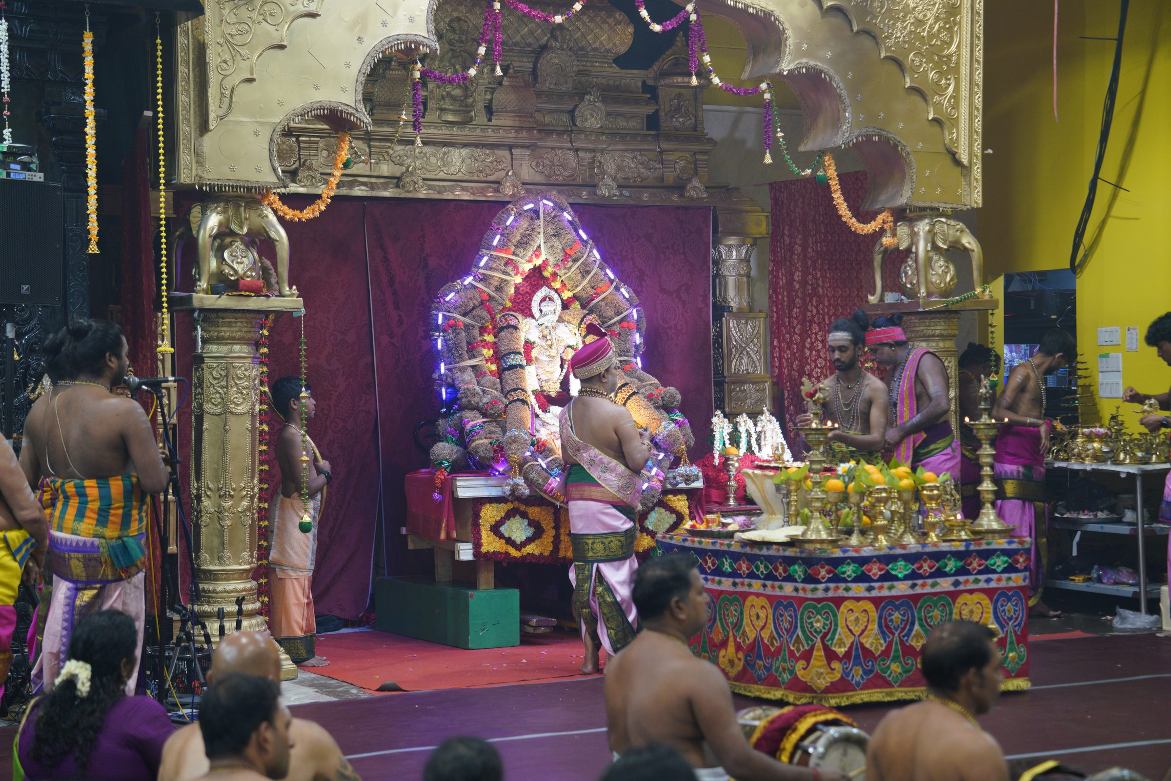 Festival 2026 photo