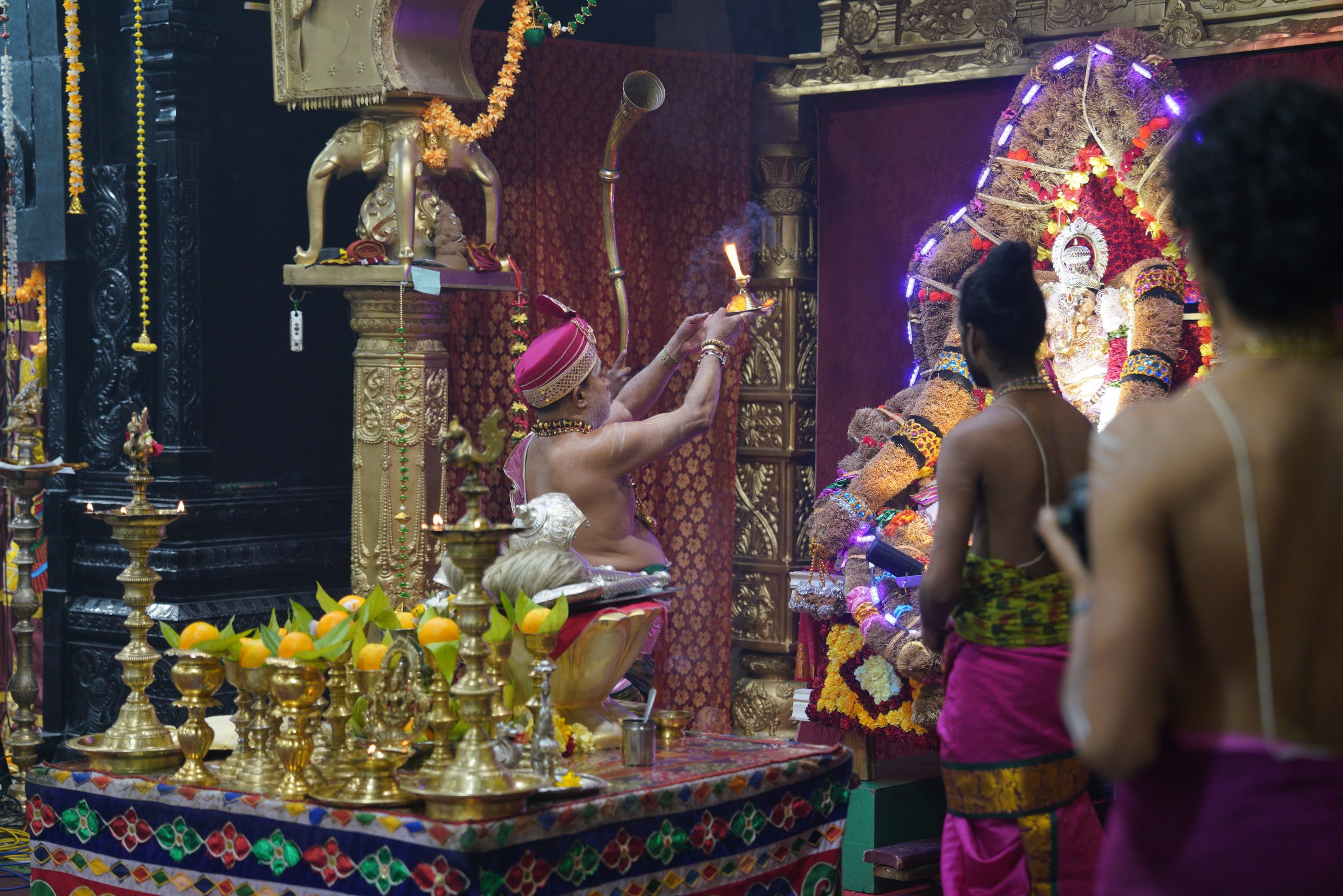 Festival 2026 photo